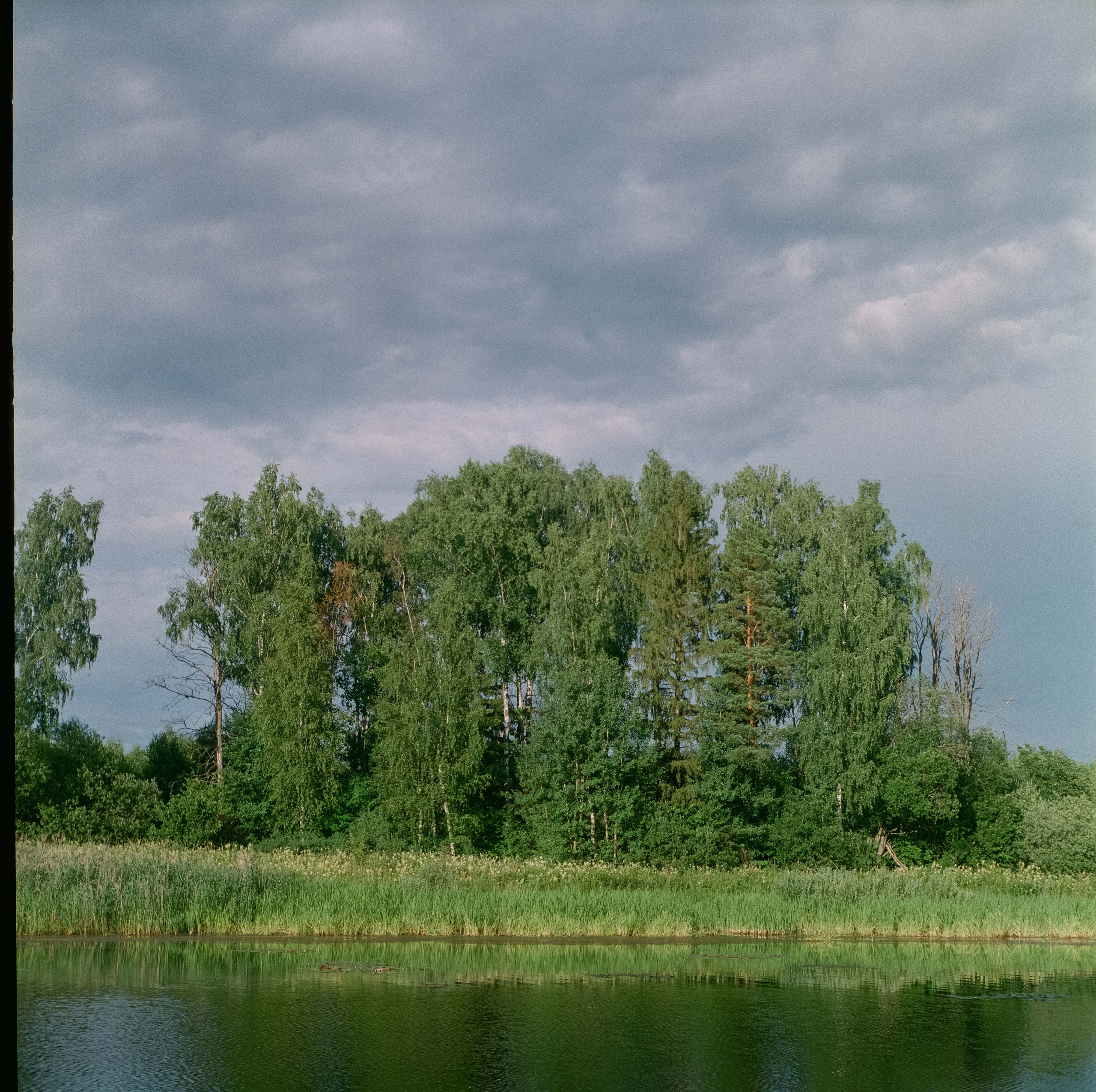 Fujifilm pro 400h / Yashica Mat-124