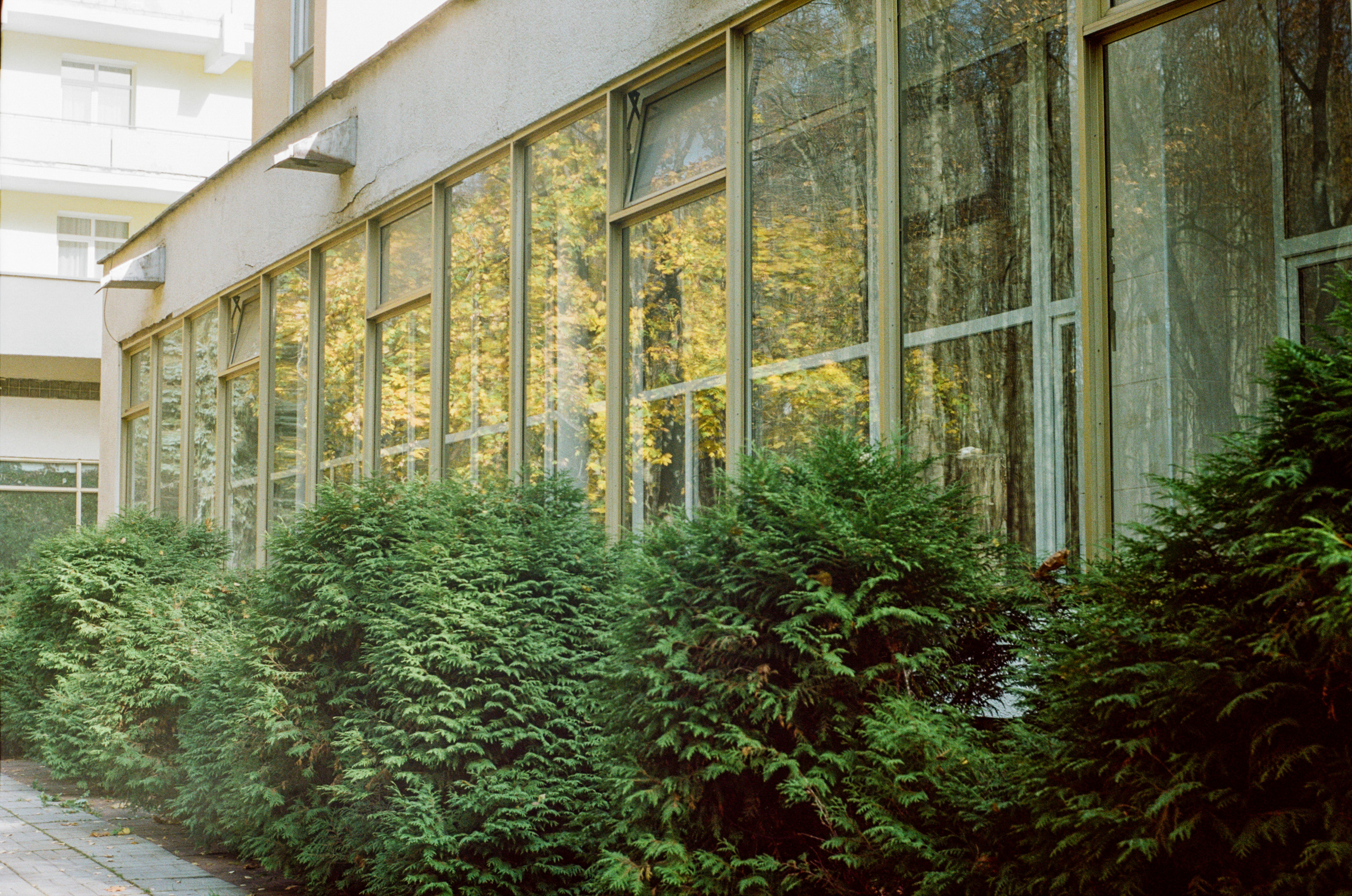 Enna Munchen Ennalyt 50mm f1.9 review