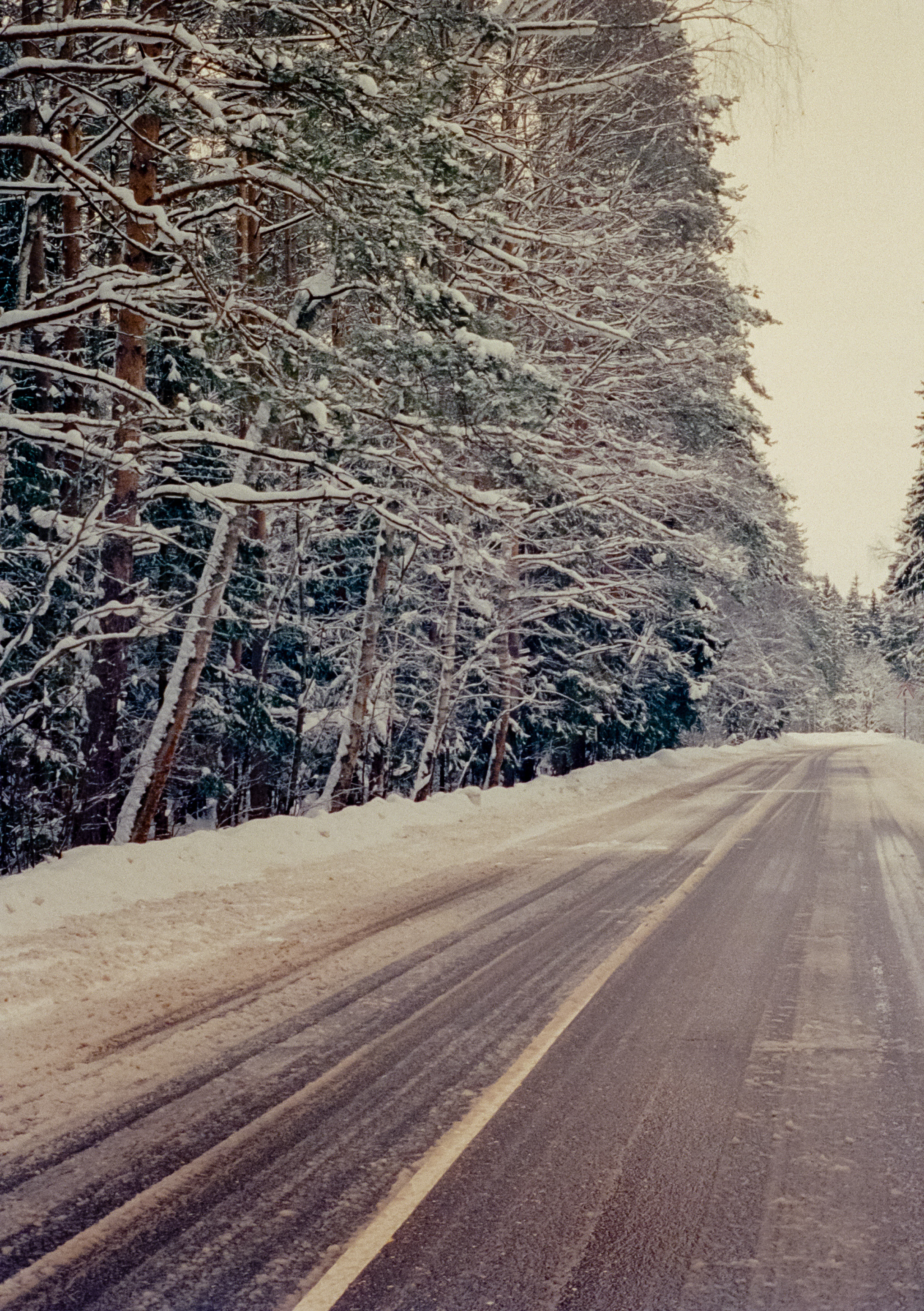 Olympus Pen EED / Kodak Vision 3 500T