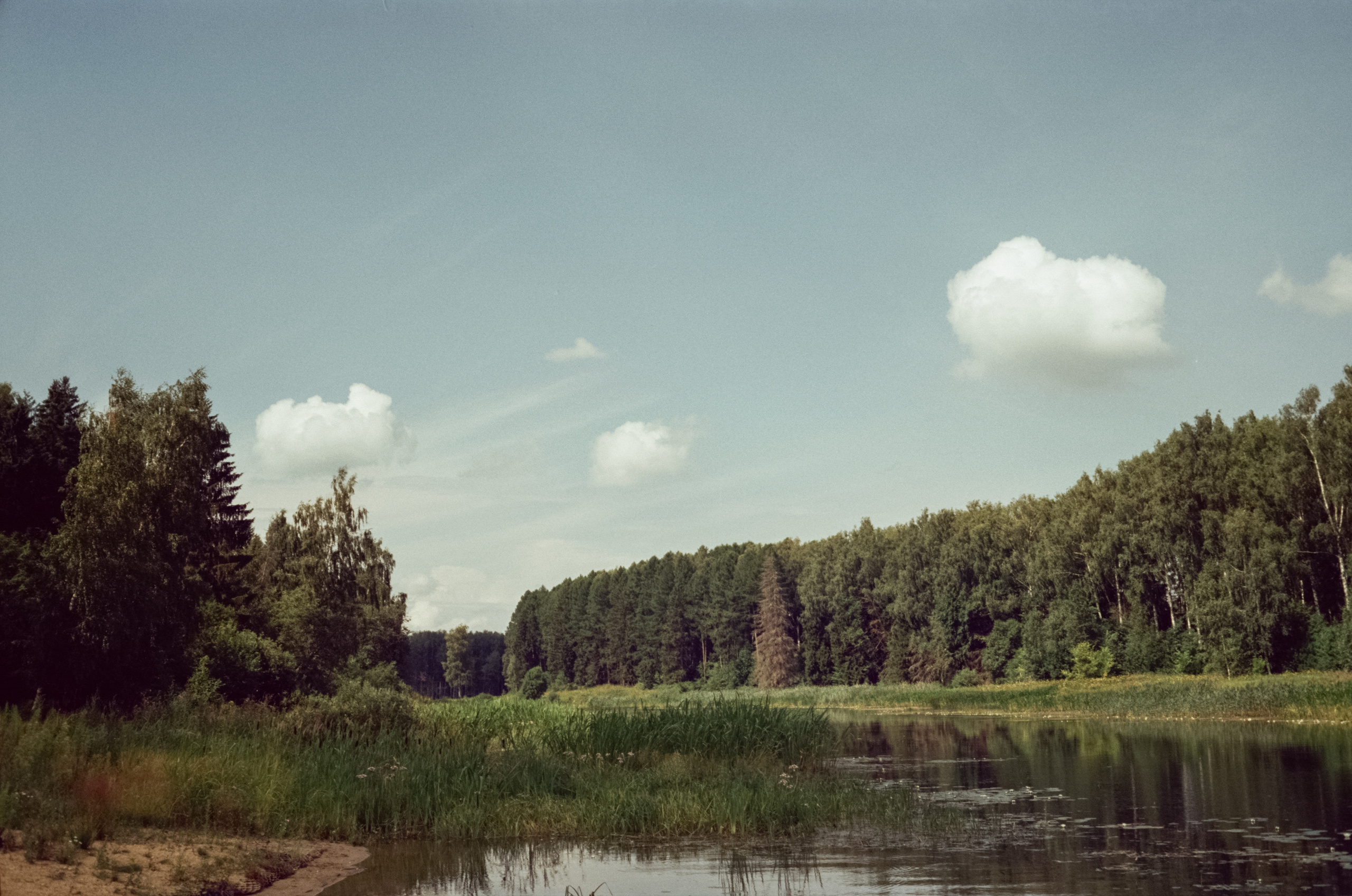 Canon Canonet QL17 G-III QL