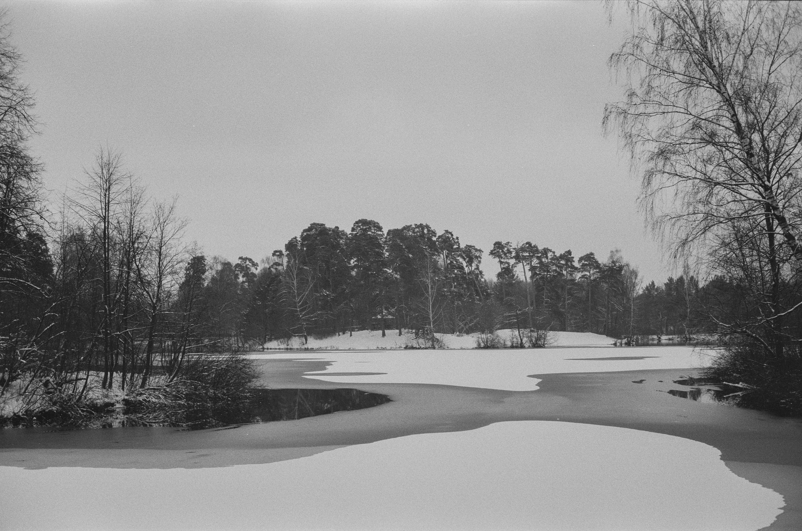Konica III M / AgfaPhoto APX 400