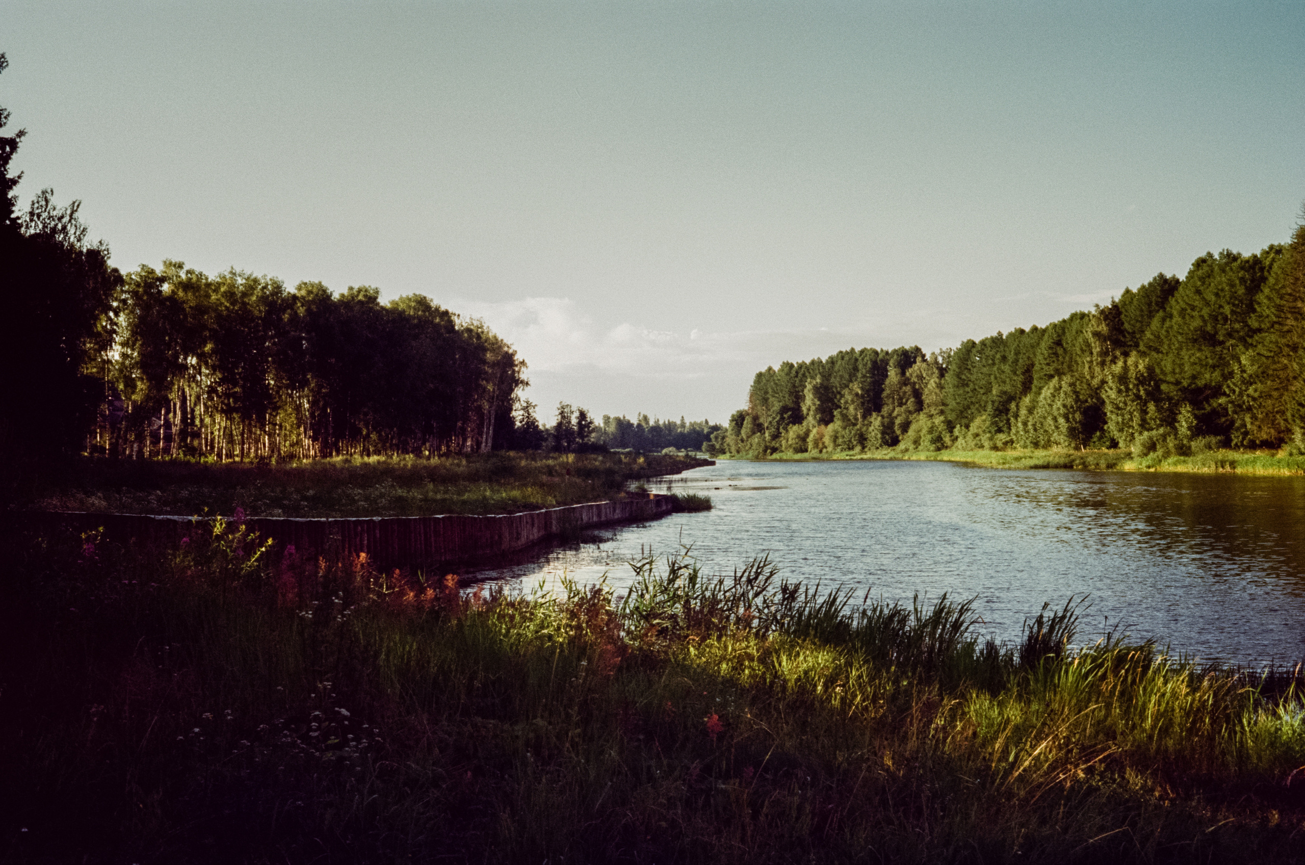 Canon Canonet QL17 G-III QL