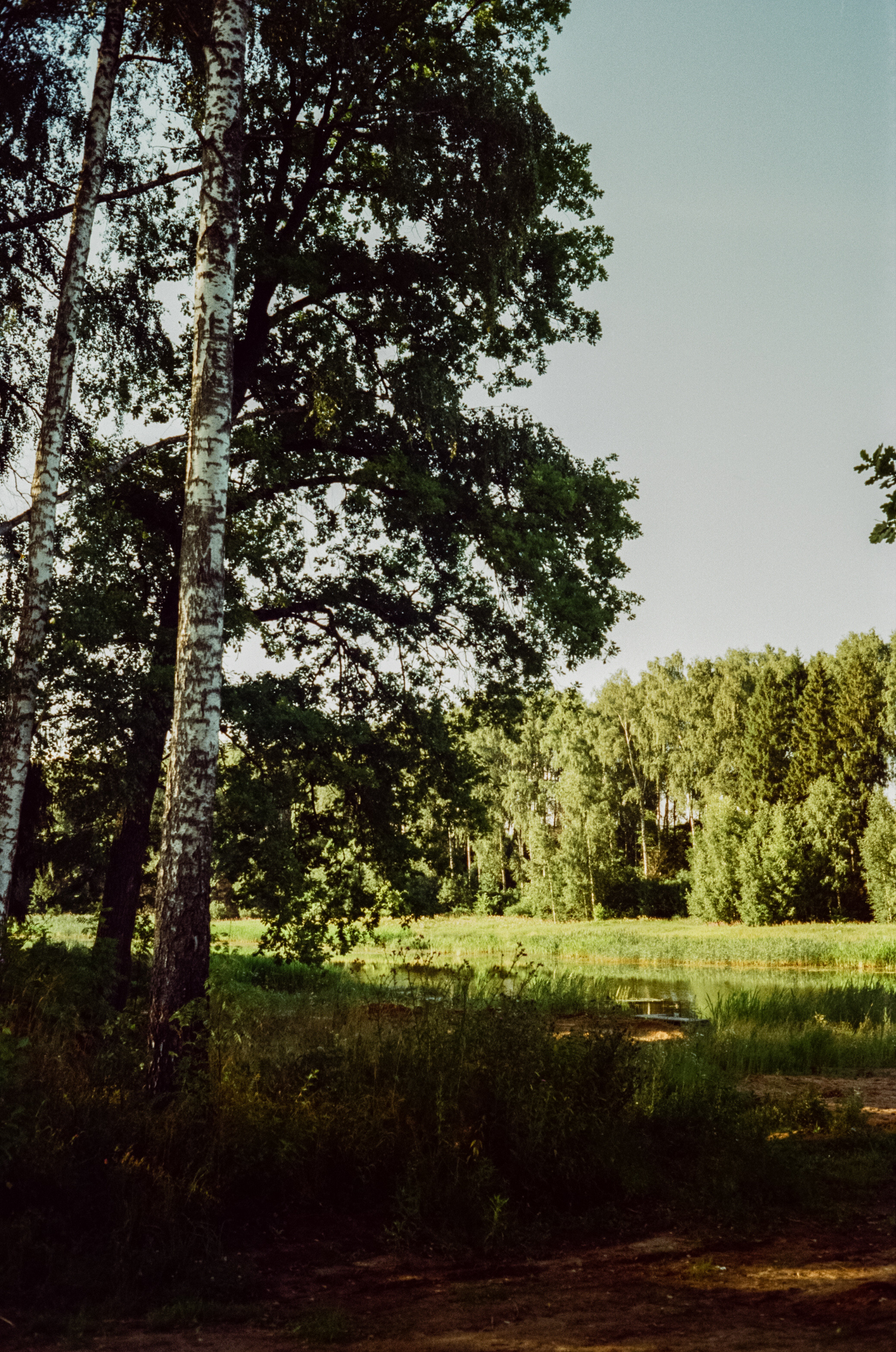 Canon Canonet QL17 G-III QL