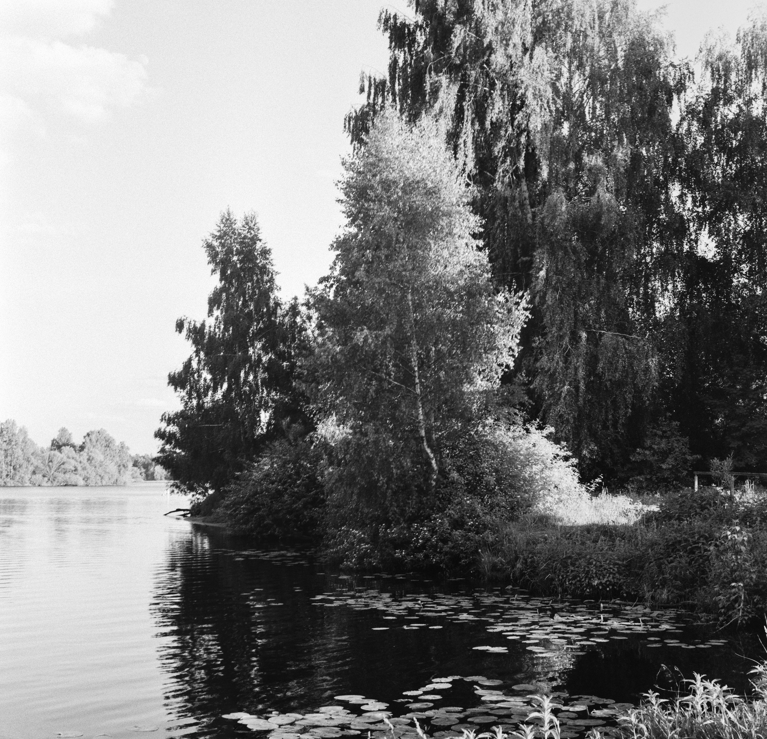 Welta Weltini примеры фотографий