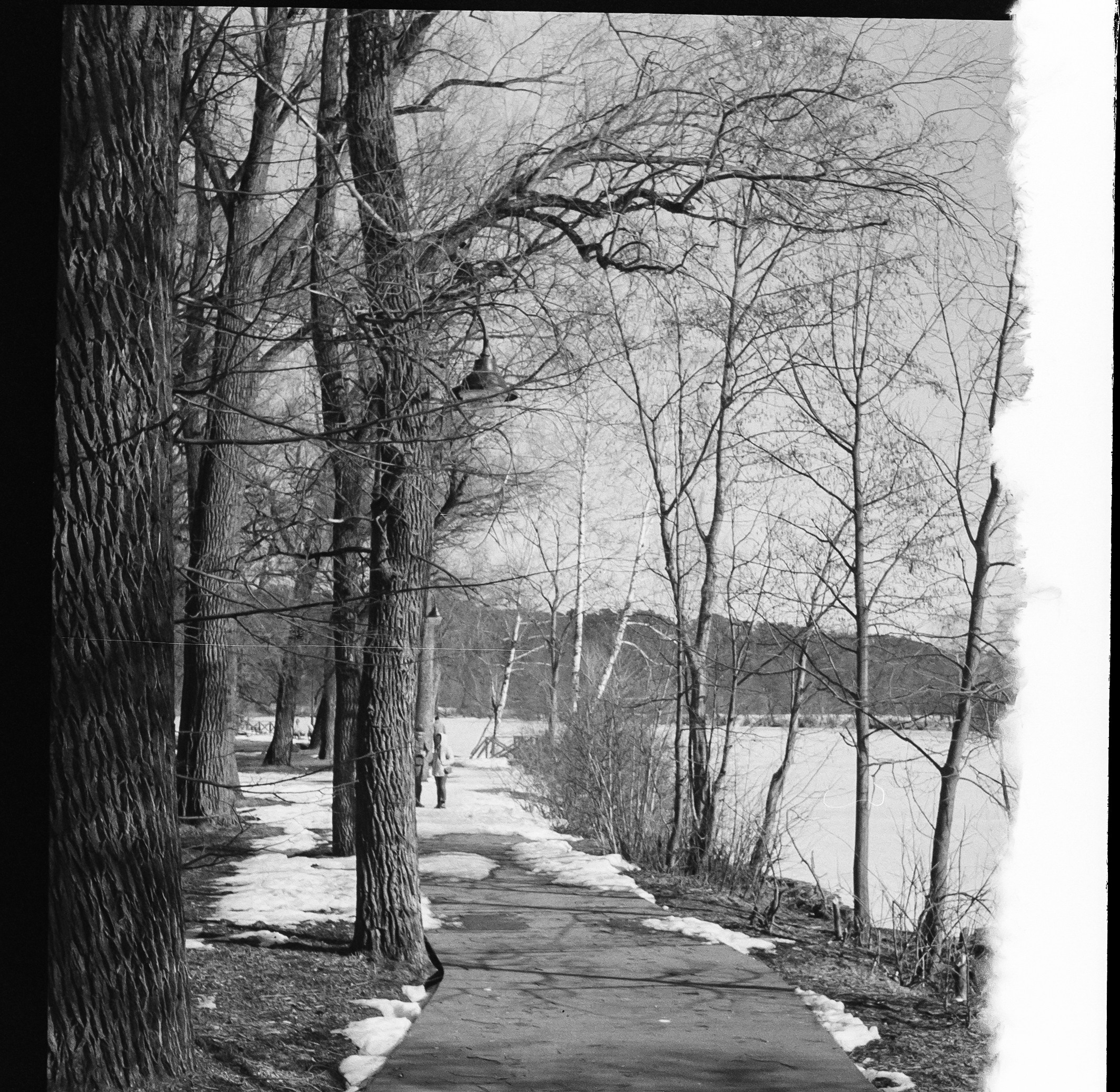 SFL UN 54 BW / Zeiss Ikon Tenax