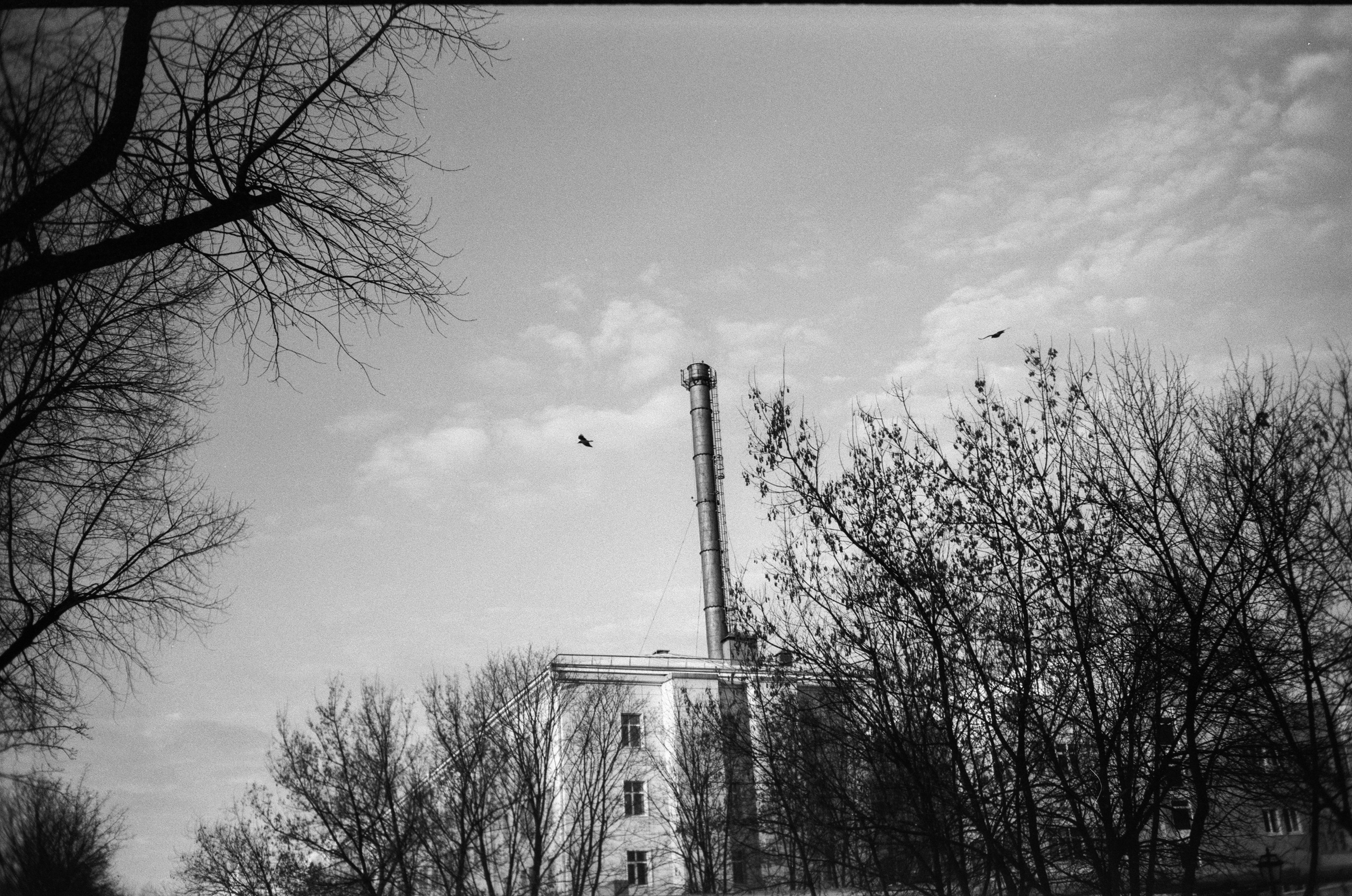 Тасма Т-25 ISO 100 / Revue 35