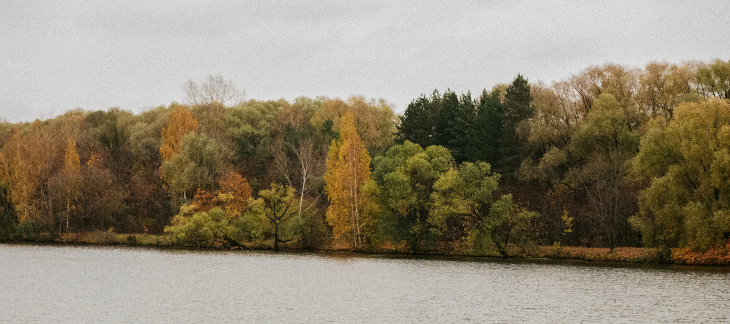 Московская осень на Kodak Gold 200