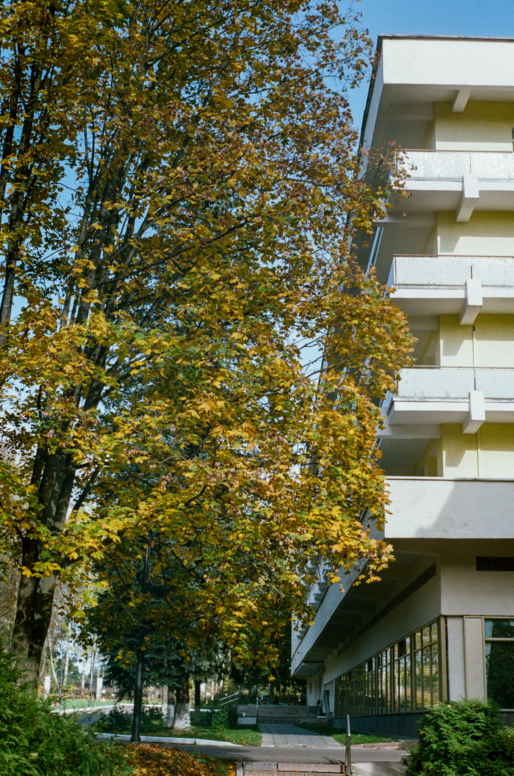 Enna Munchen Ennalyt 50mm f1.9 review