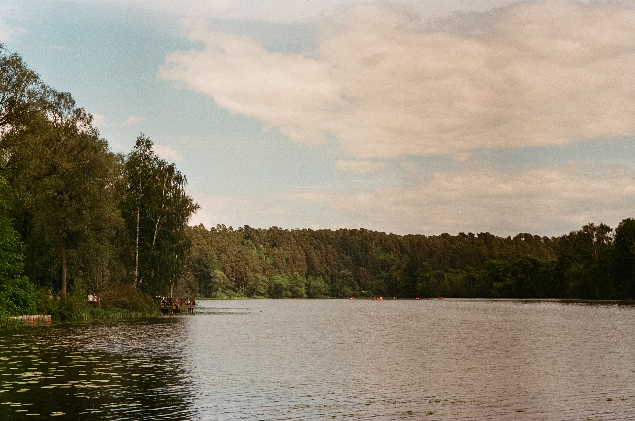 Edixa Reflex-D | Carl Zeiss Jena Biotar 58 mm f2.0 | SFA A-color 125