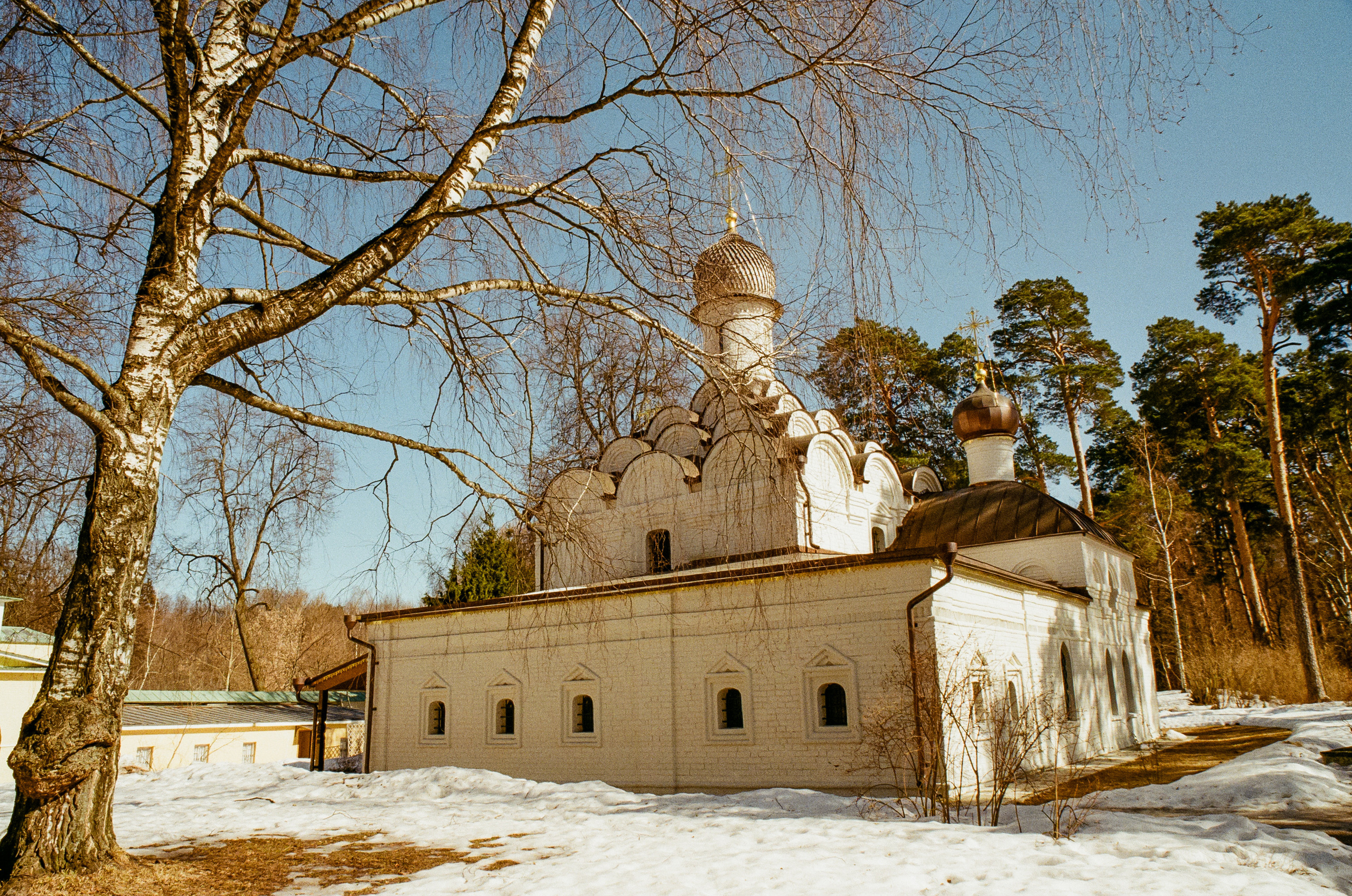 Kodak Ektar 100 / Contax N1