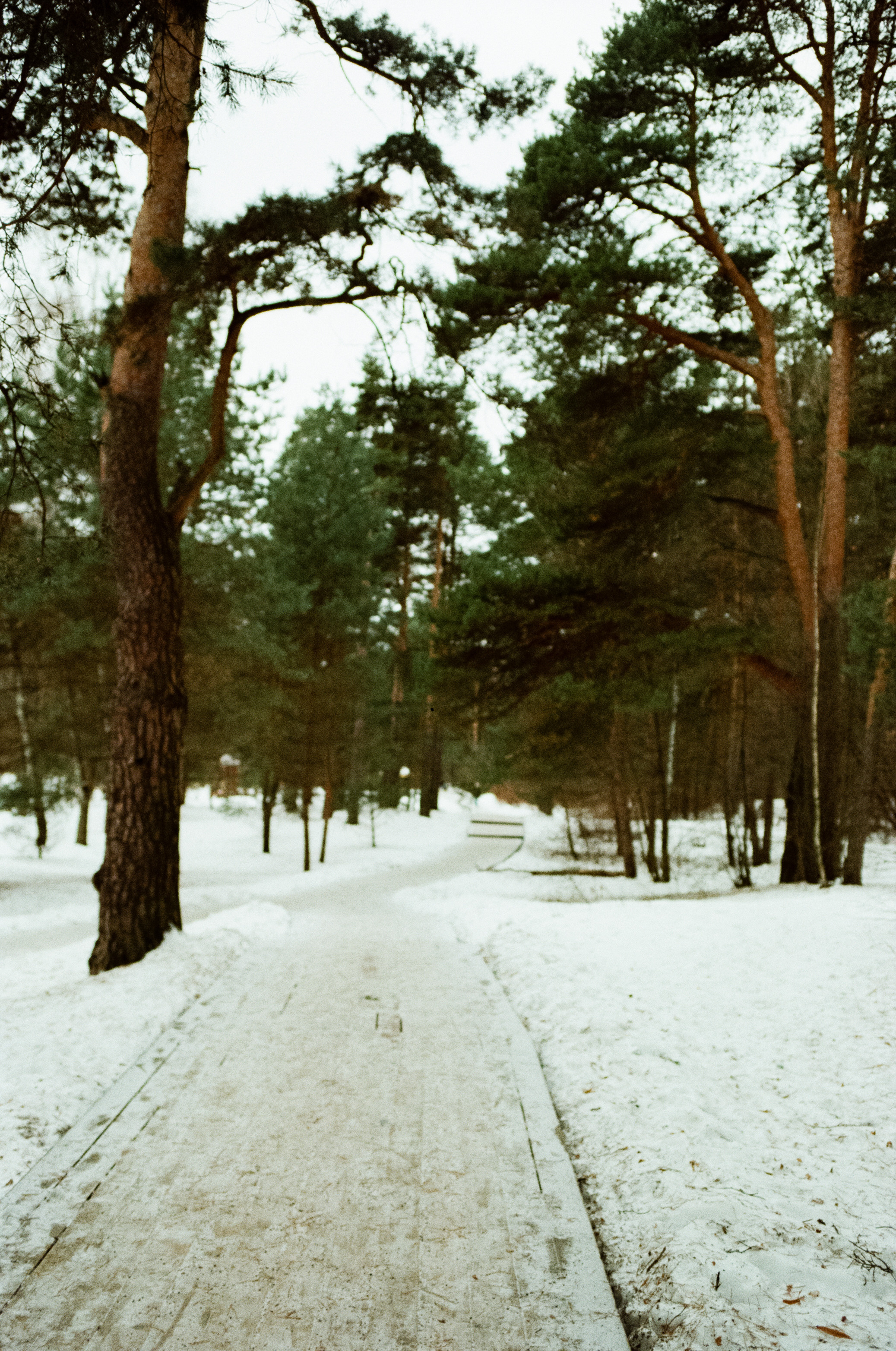 SMC Pentax-FA 35 mm f2.0 — Pentax MZ-3 / Kodak Color Plus 200