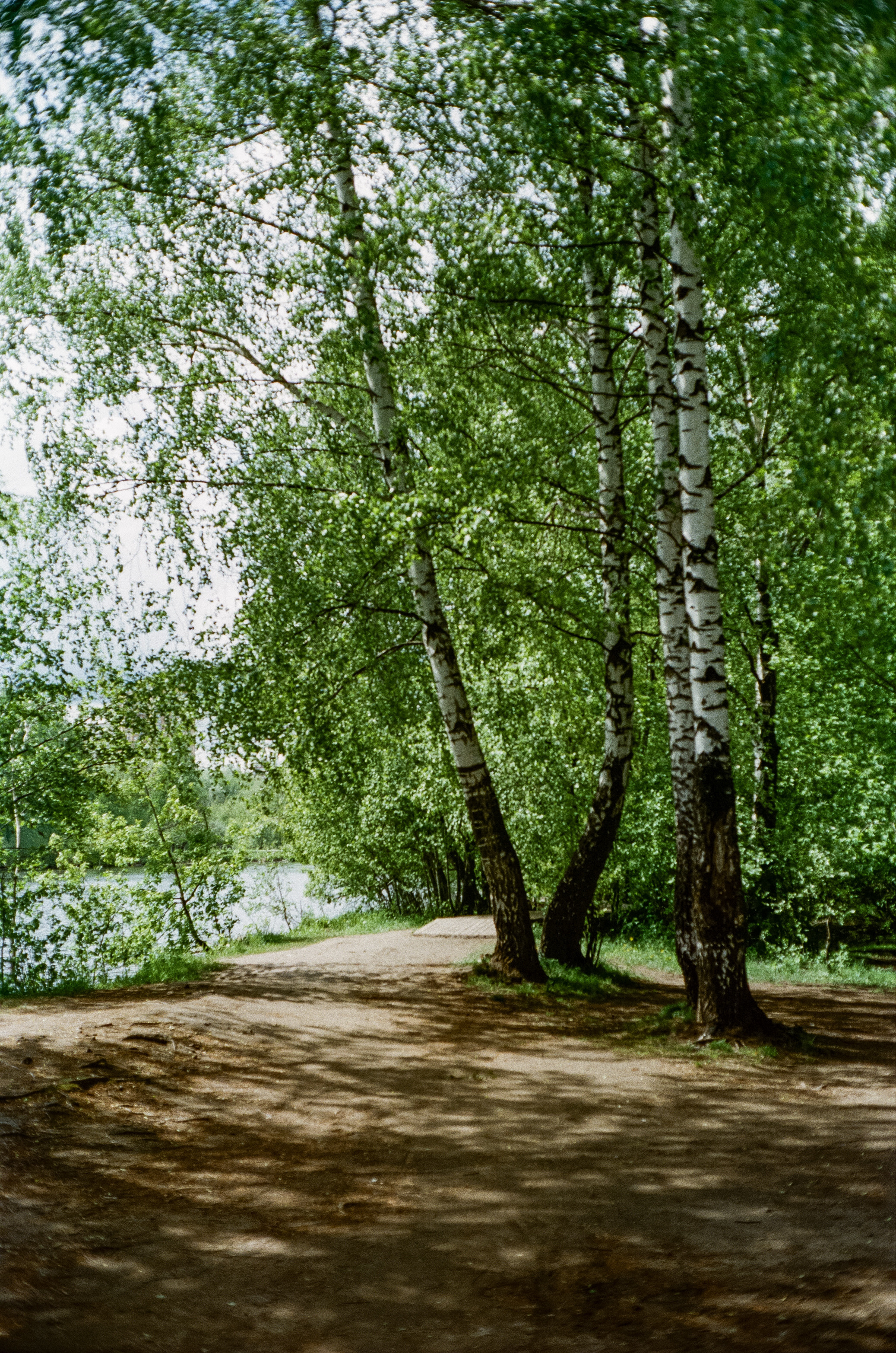 Minolta Hi-Matic 7sII