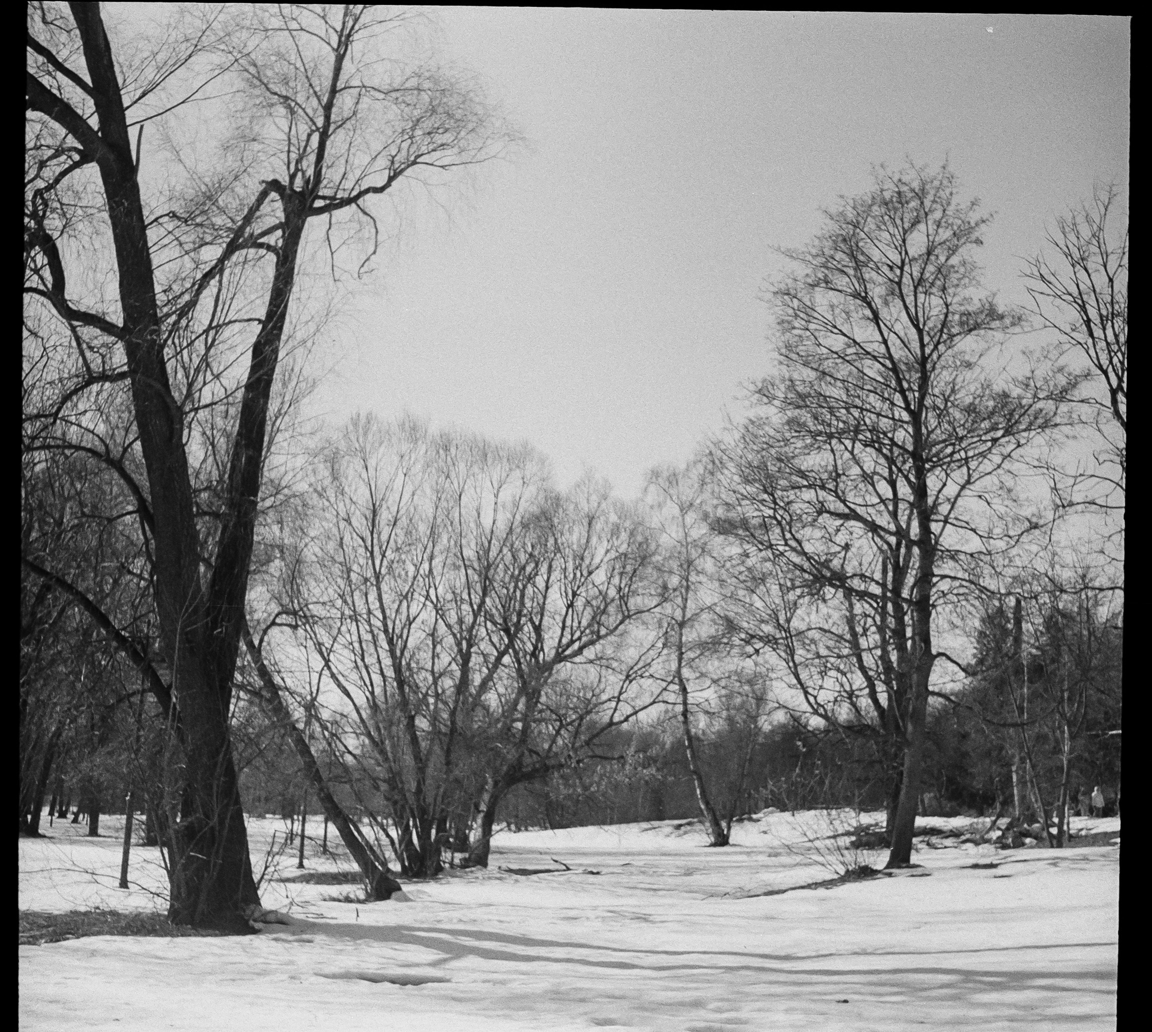 SFL UN 54 BW / Zeiss Ikon Tenax