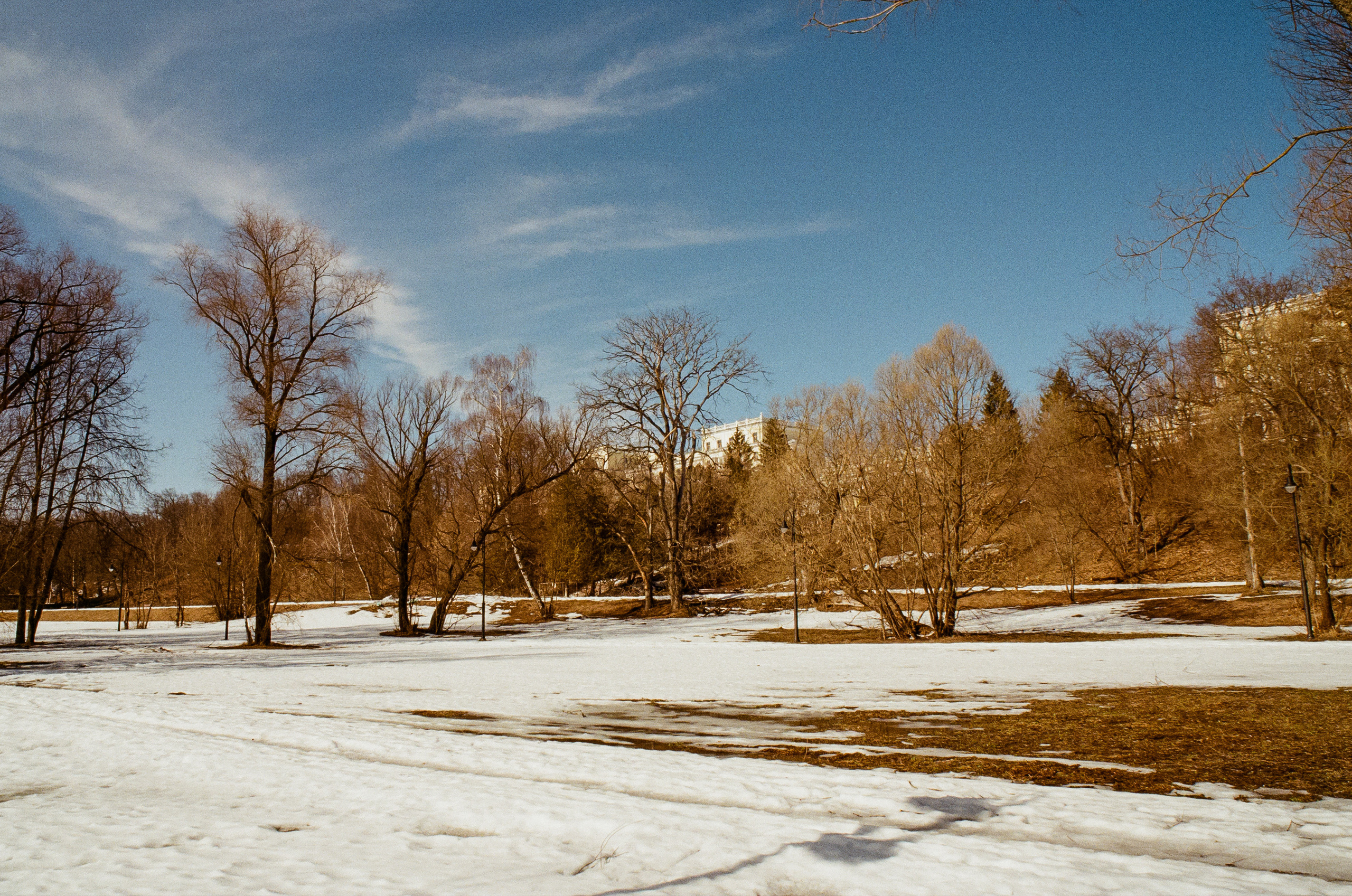 Kodak Ektar 100 / Contax N1