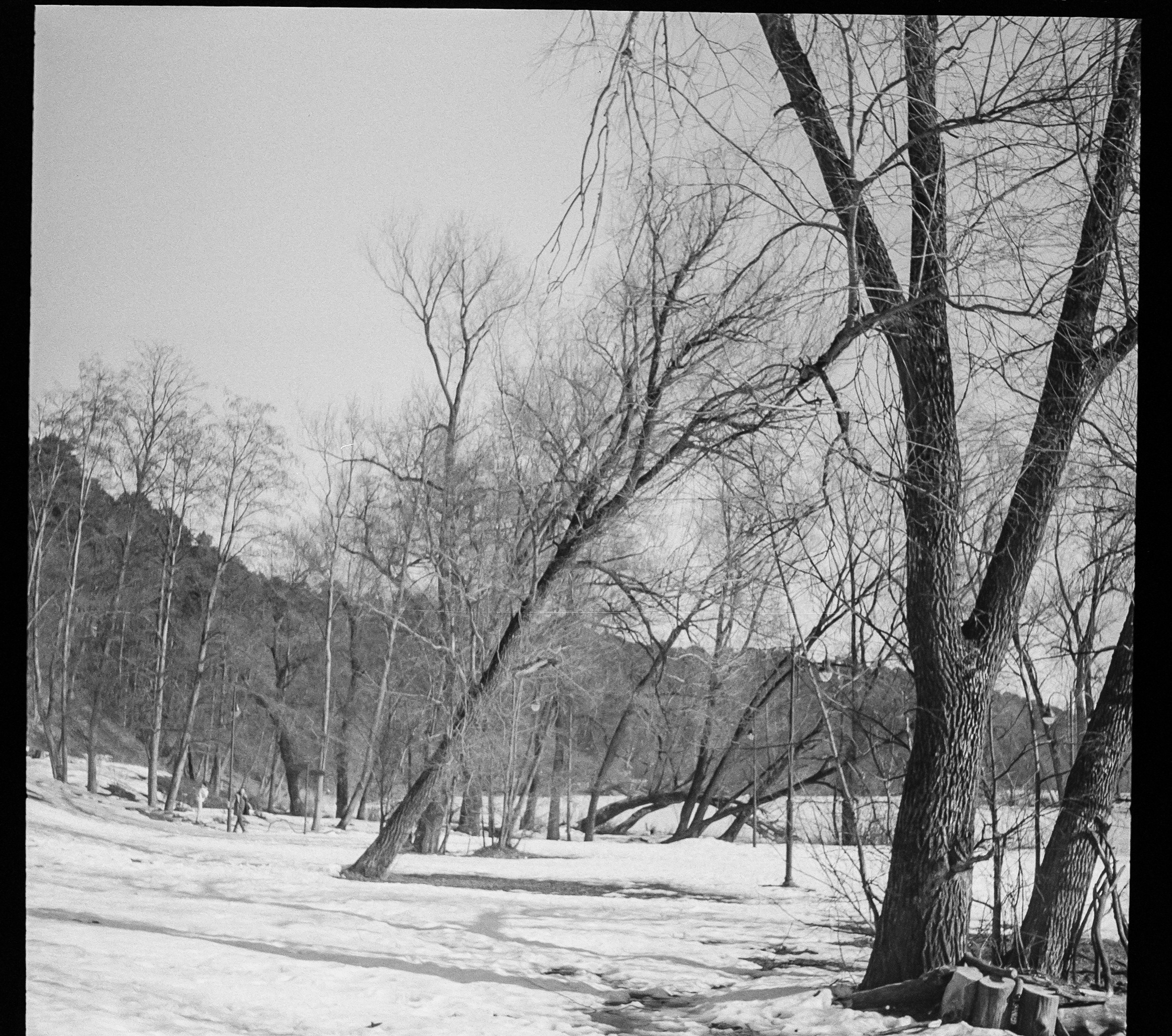 SFL UN 54 BW / Zeiss Ikon Tenax