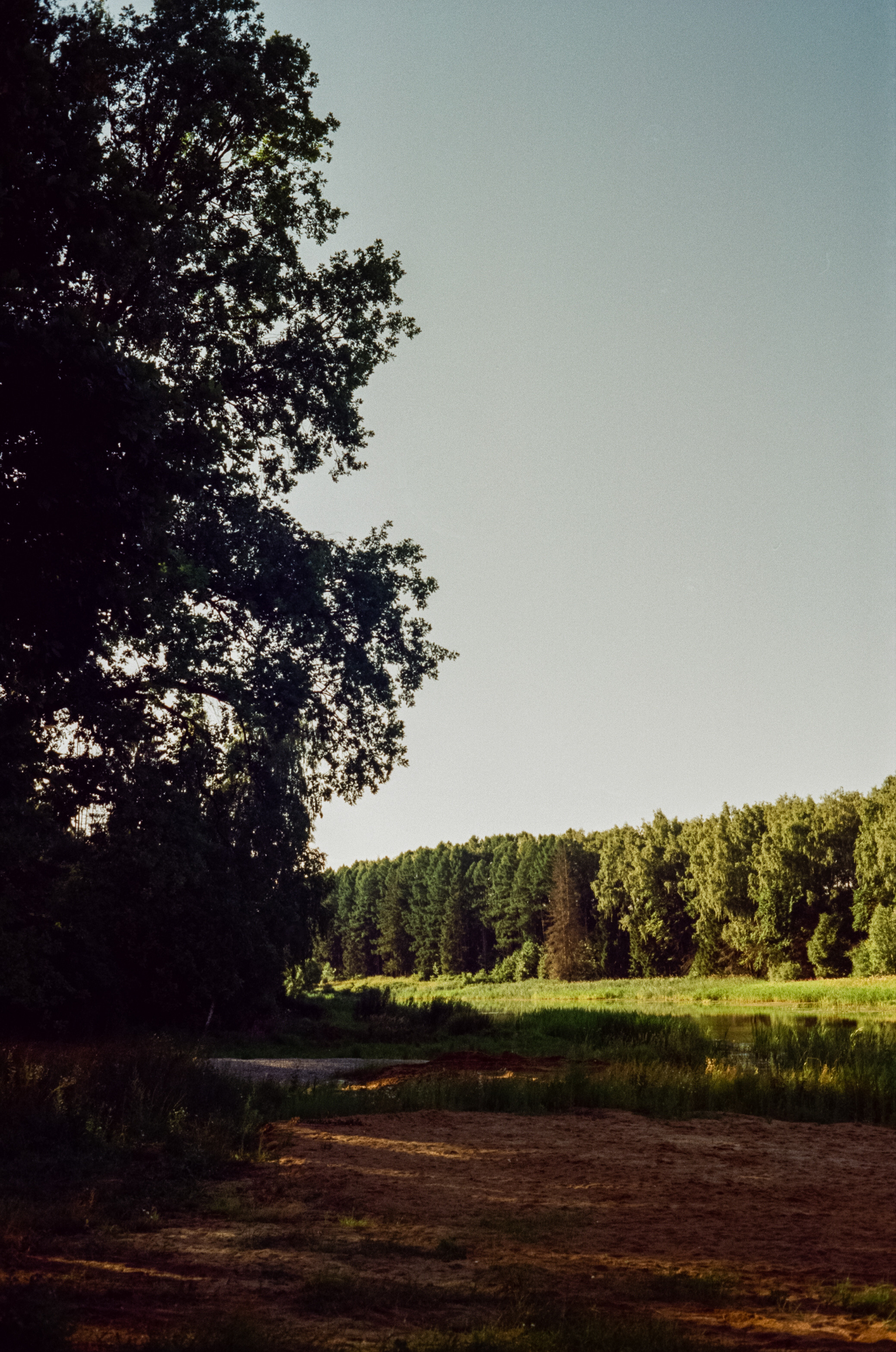 Canon Canonet QL17 G-III QL