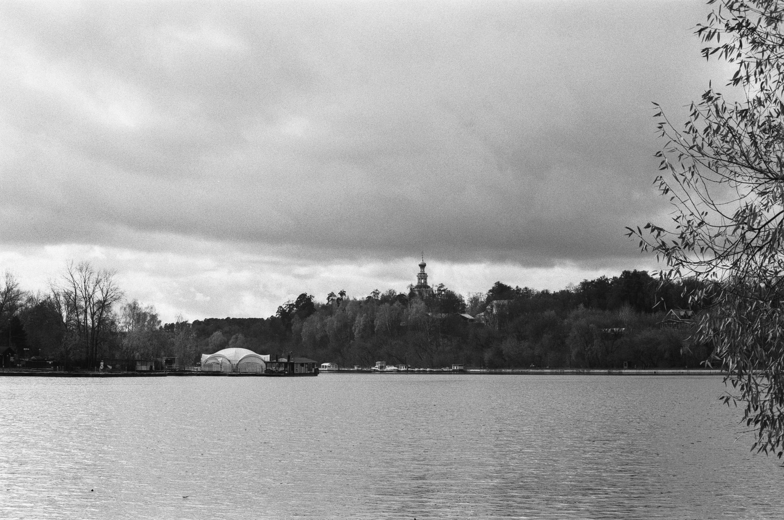 Cosina 55 mm f1.2 — Ricoh XR-10M / Тасма Тип-42 ISO 100