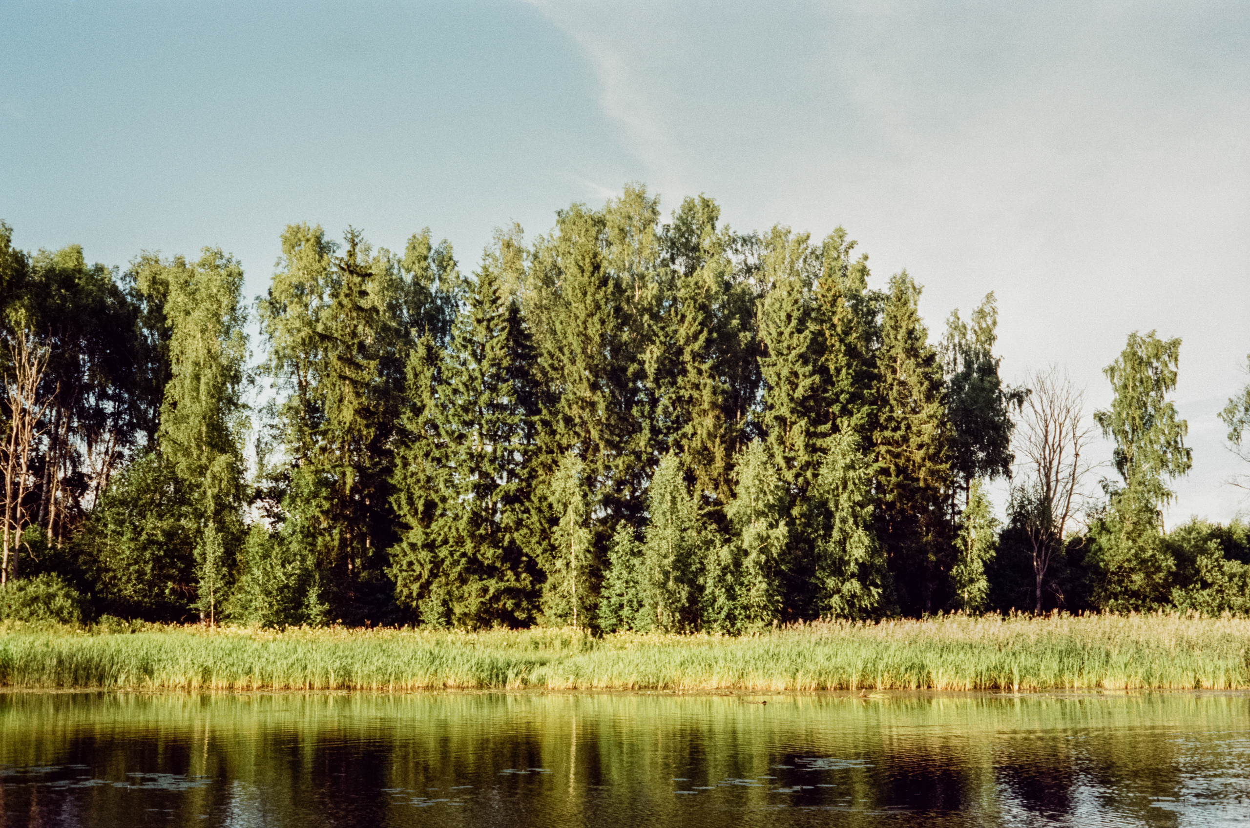 Canon Canonet QL17 G-III QL