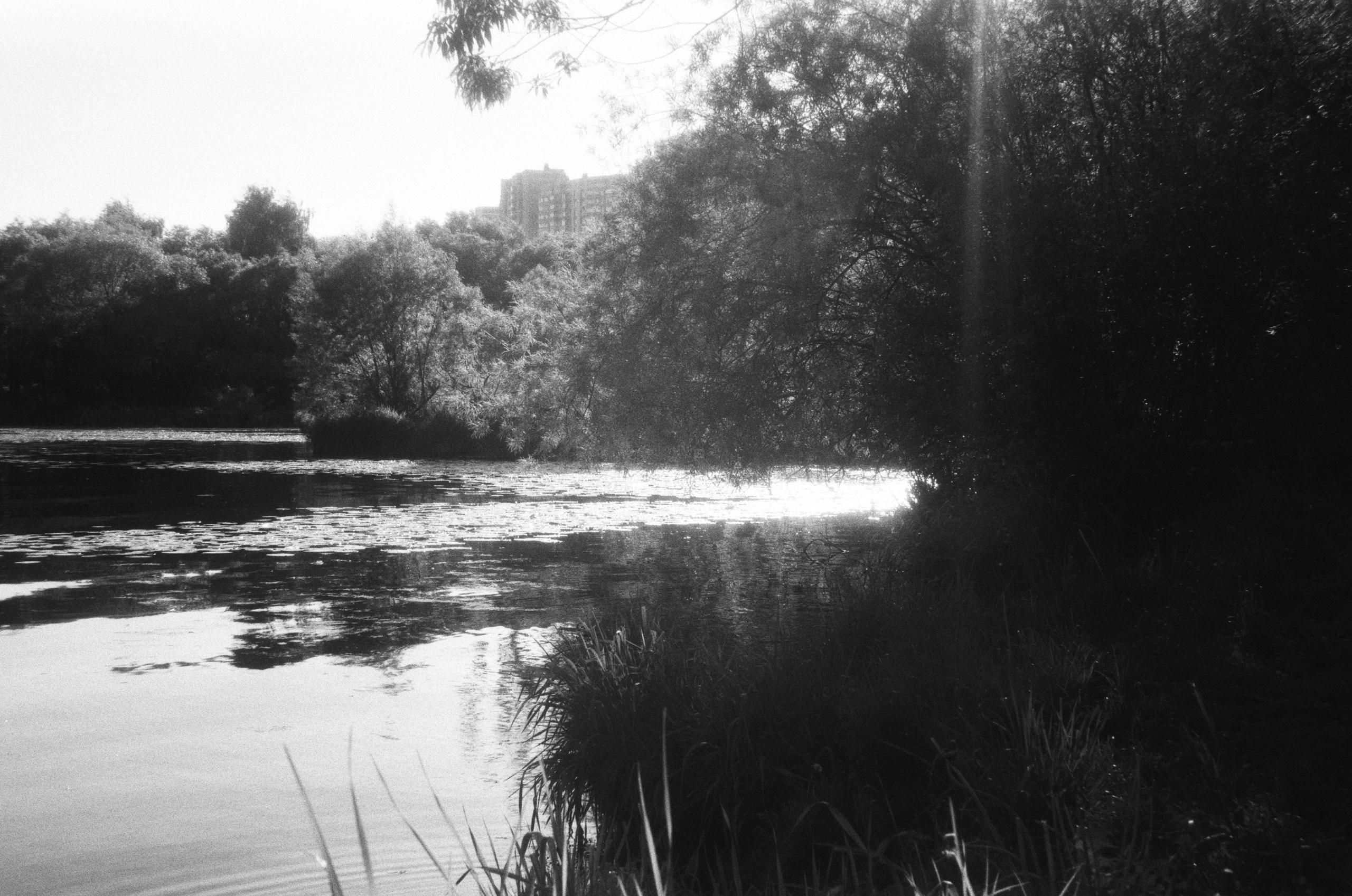 Braun Paxette примеры фотографий