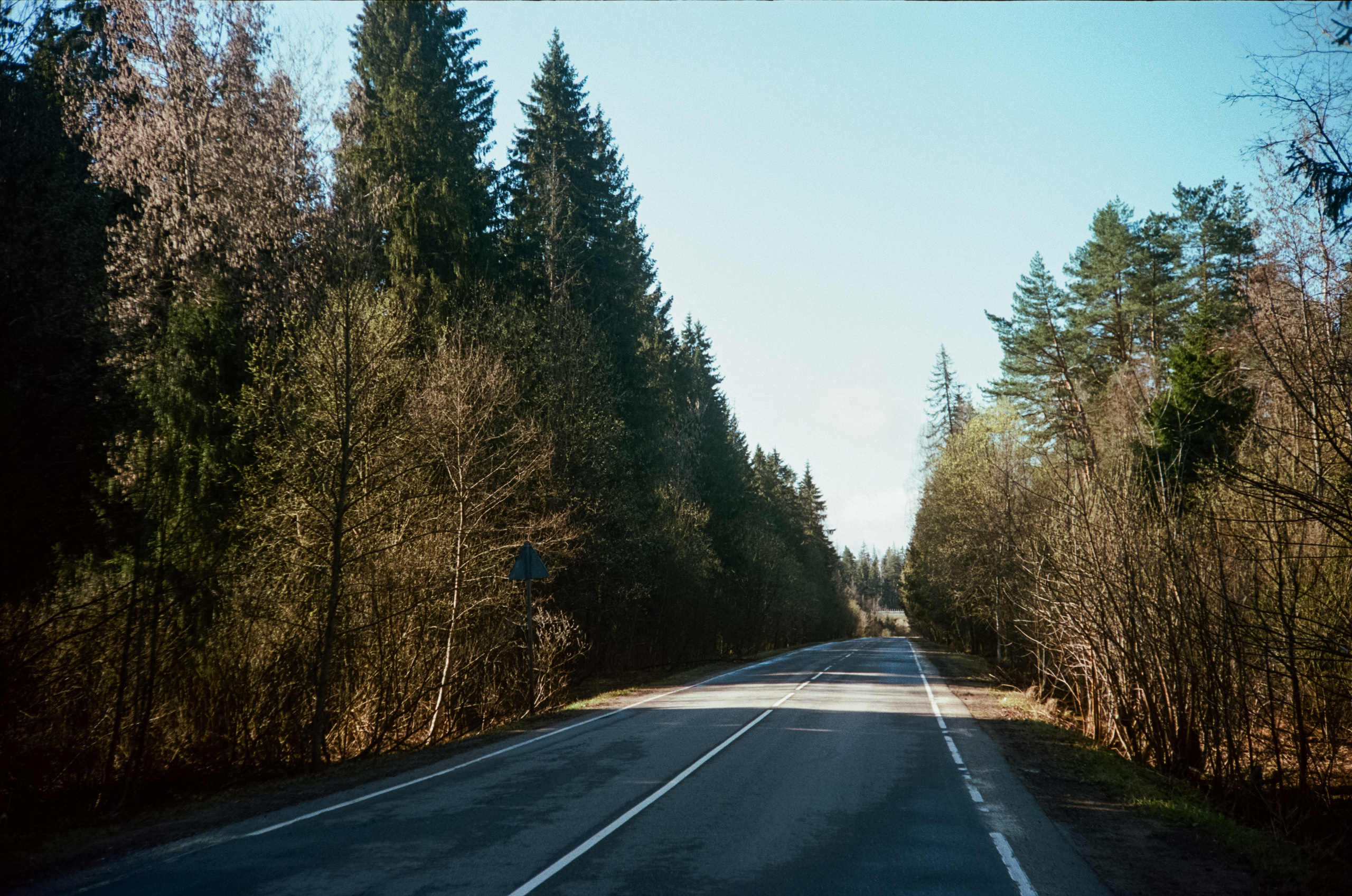 Kodak Portra 160 / Walz Envoy 35