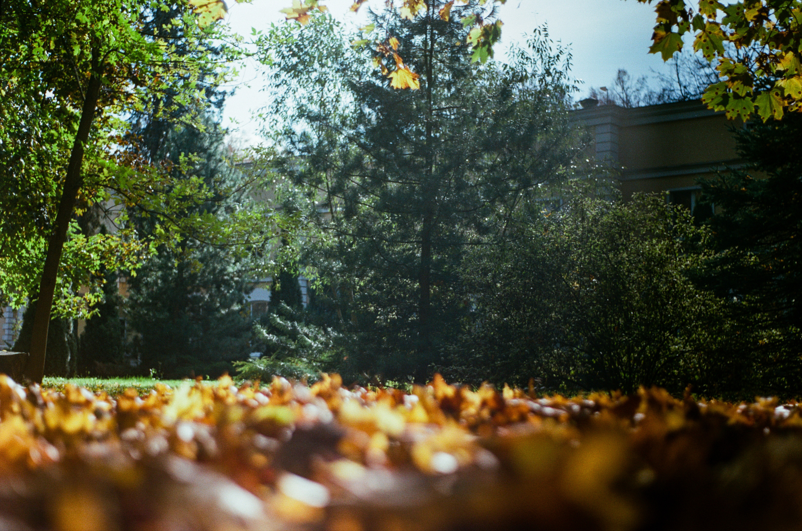 Enna Munchen Ennalyt 50mm f1.9 review