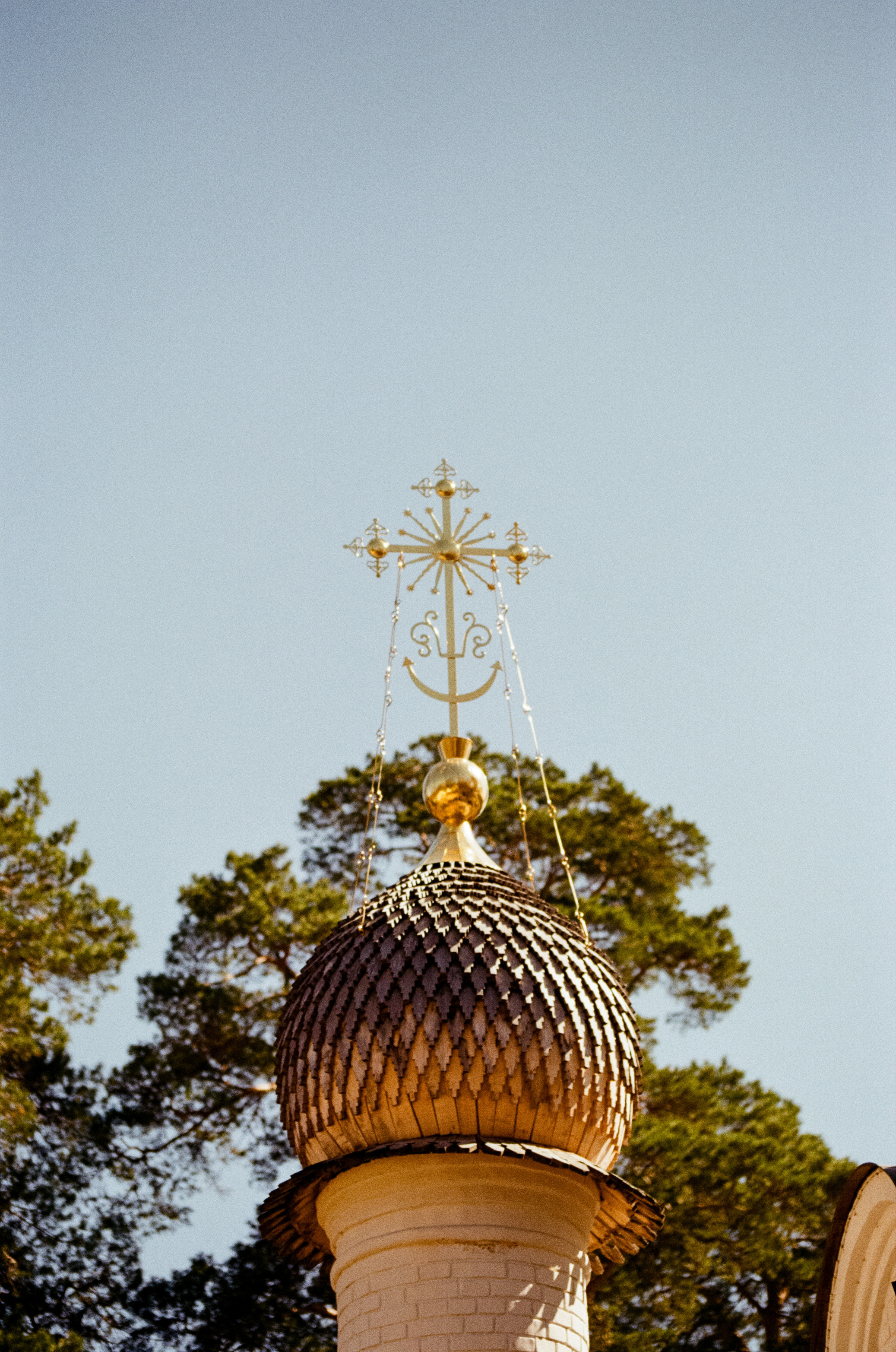 Carl Zeiss Makro-Sonnar 100mm f2.8