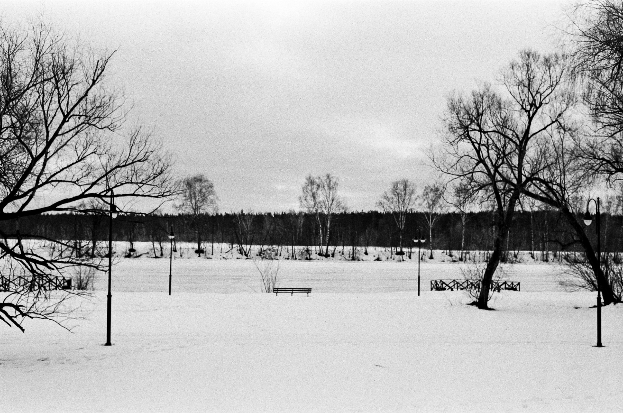 Retina Xenon C 50mm f2.0