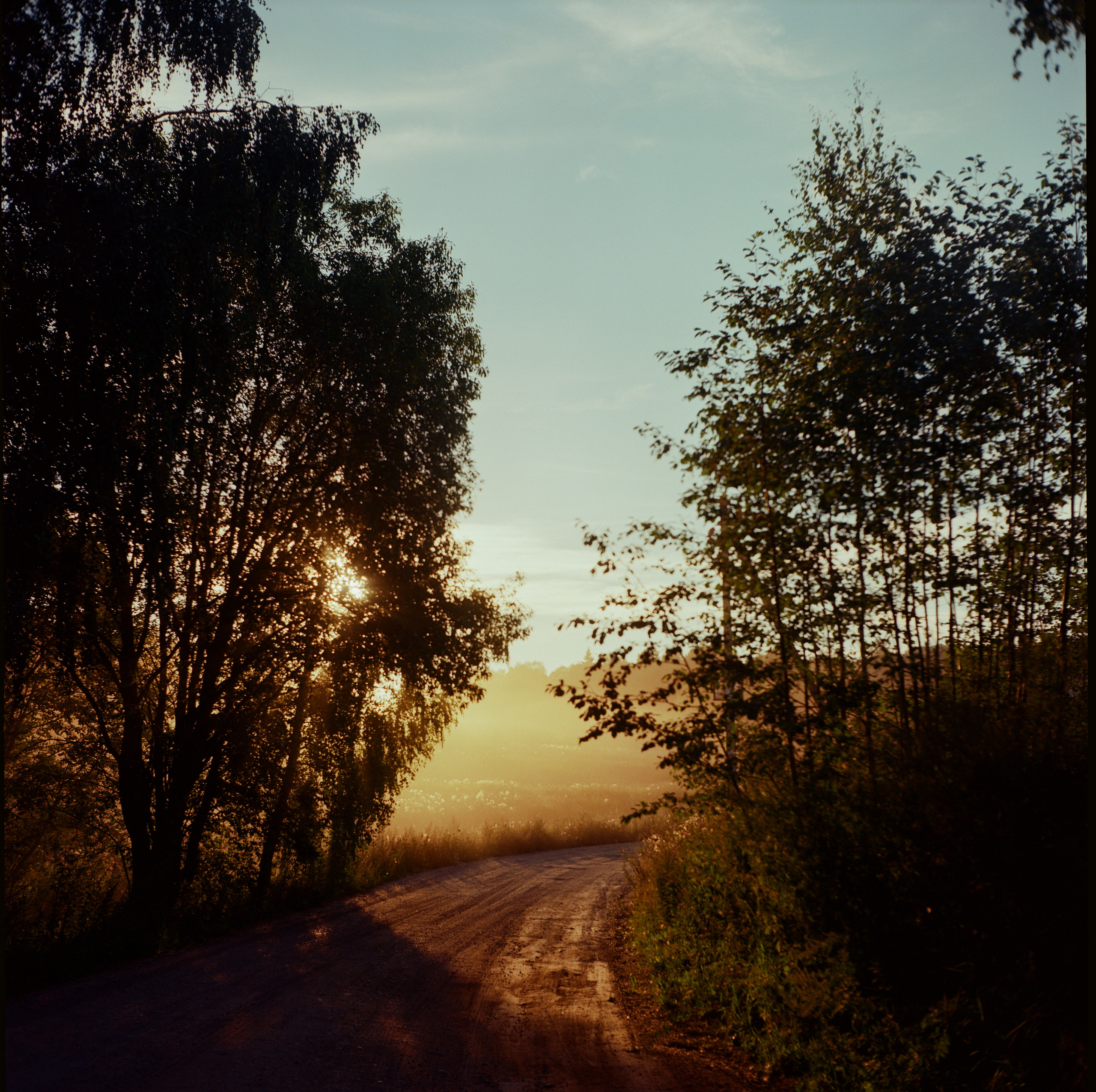 Закат на Kodak Ektar 100 и Yashica Mat-124