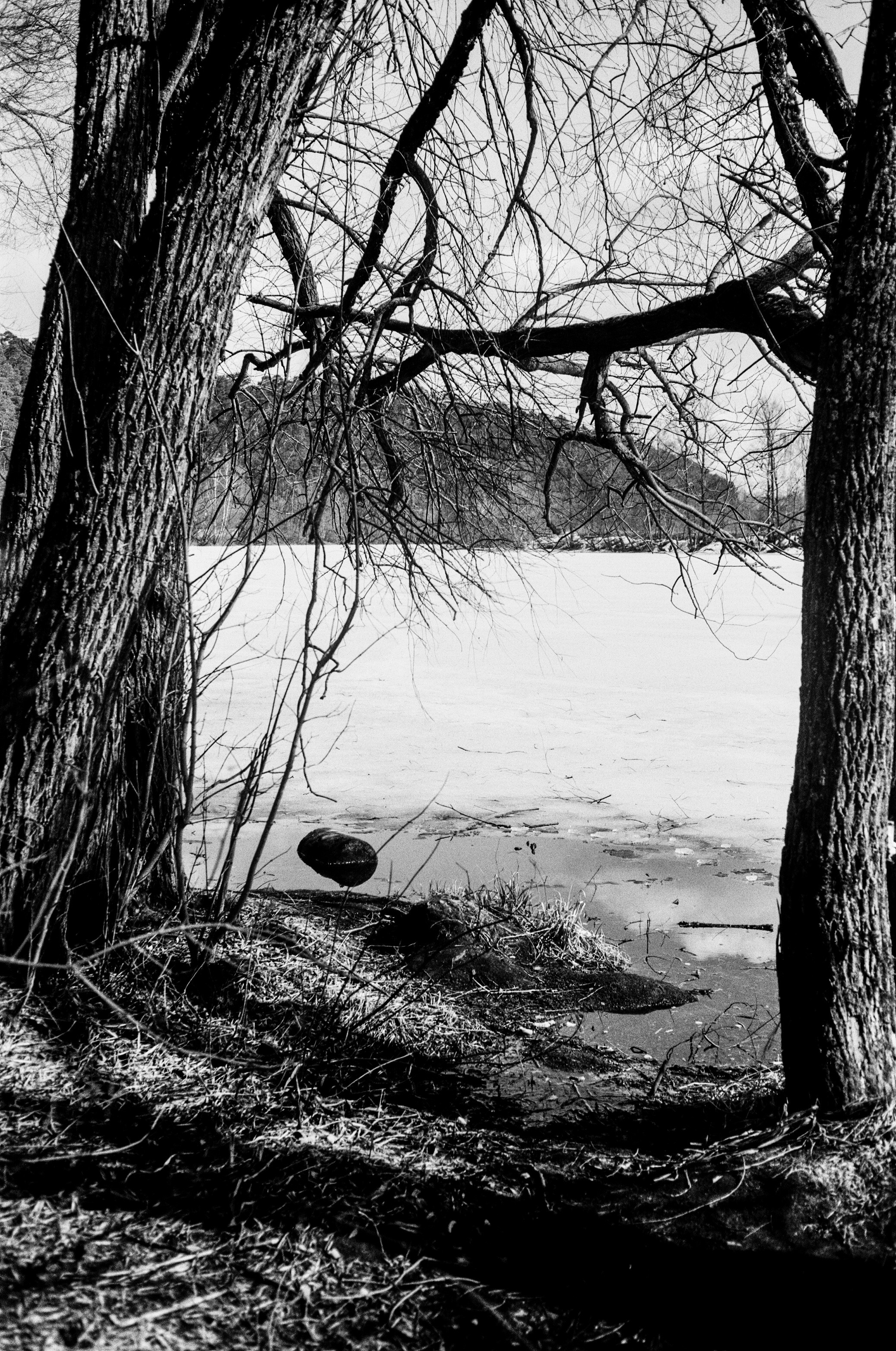 Minolta V2 / ТАСМА Тип-25