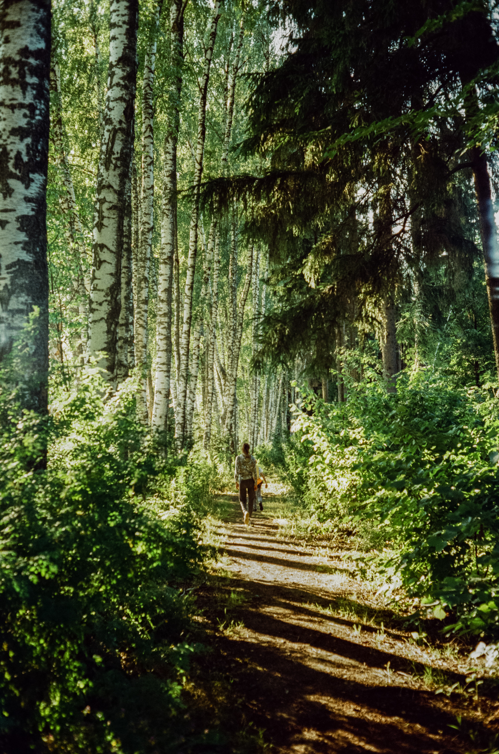 Canon Canonet QL17 G-III QL