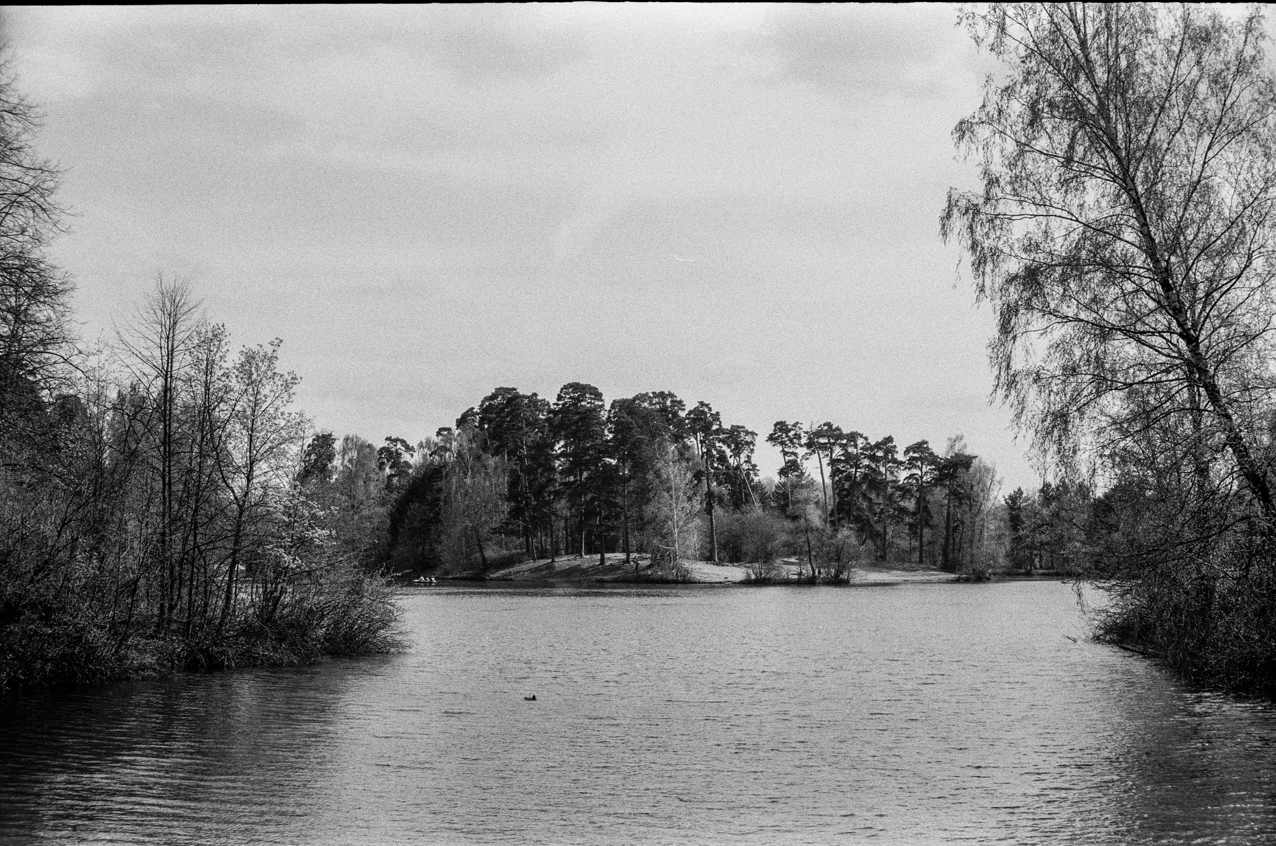 Kodak Double-X 5222