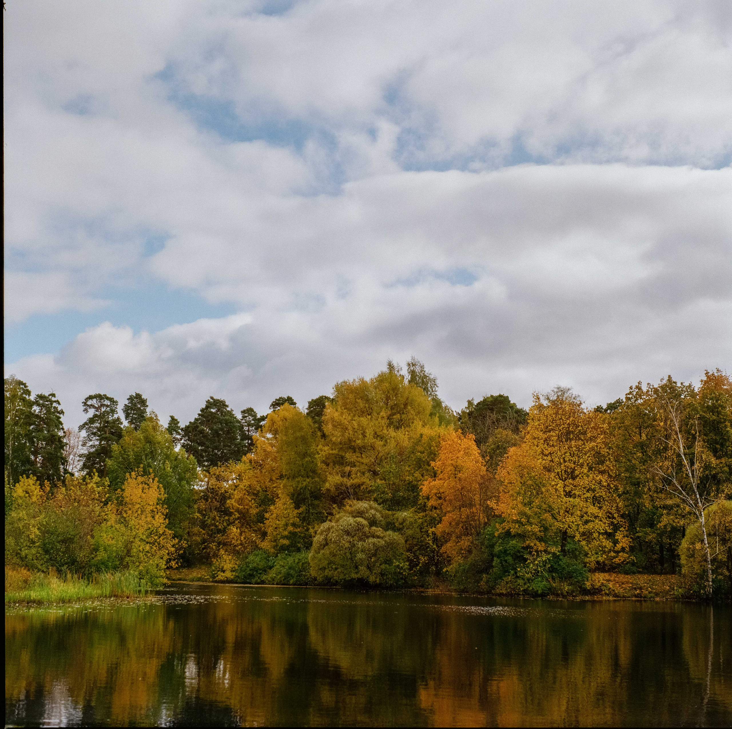 Yashica Mat-124G / Kodak Gold 200