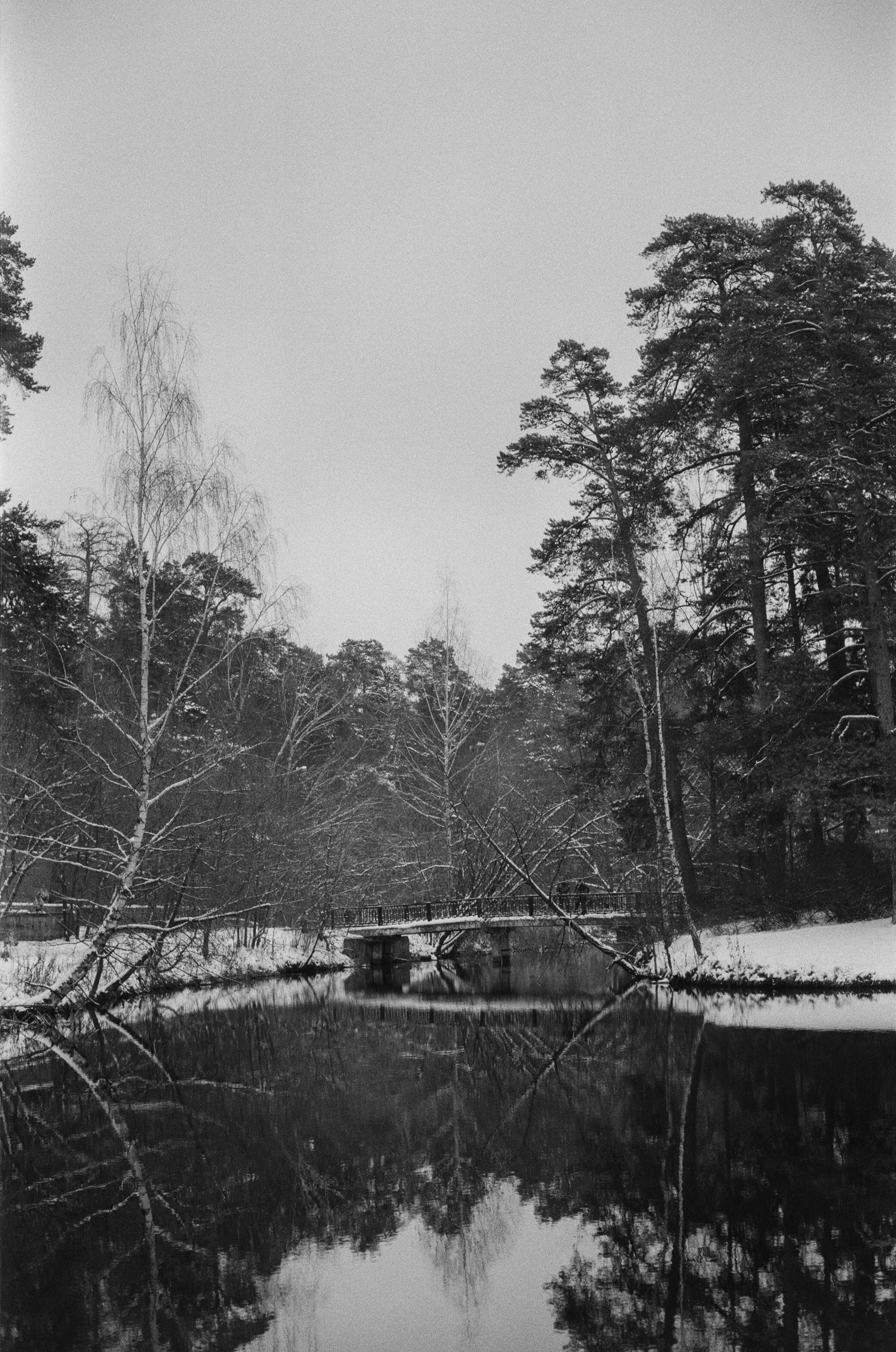 Konica III M / AgfaPhoto APX 400