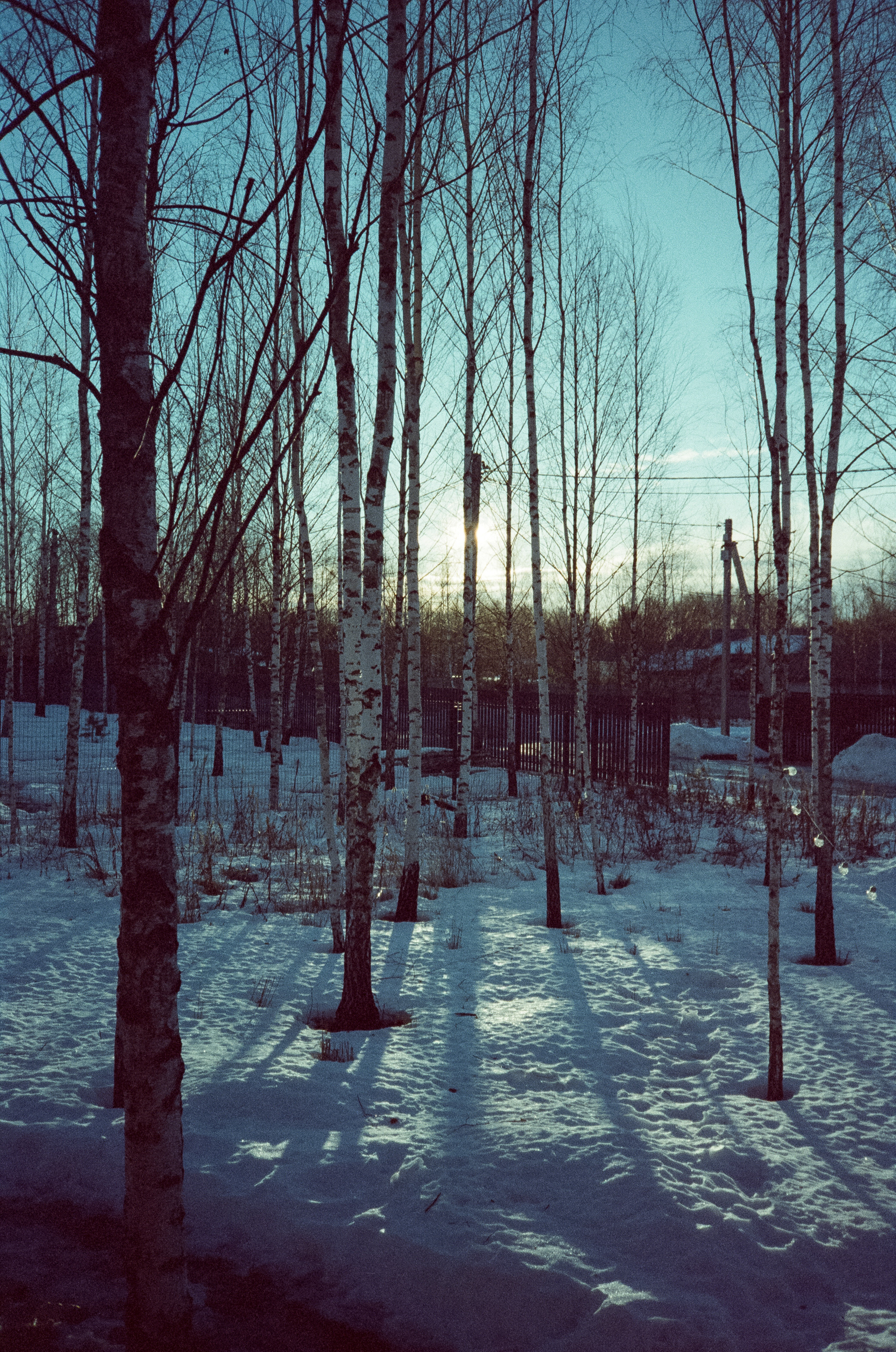 Hygge Dacha Велегож Парк на Fuji DL-300