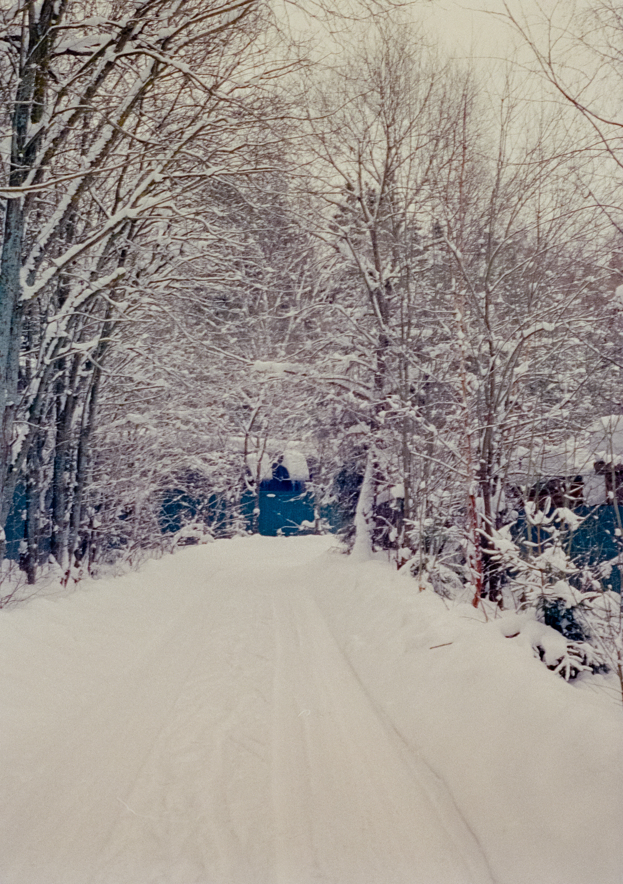 Olympus Pen EED / Kodak Vision 3 500T