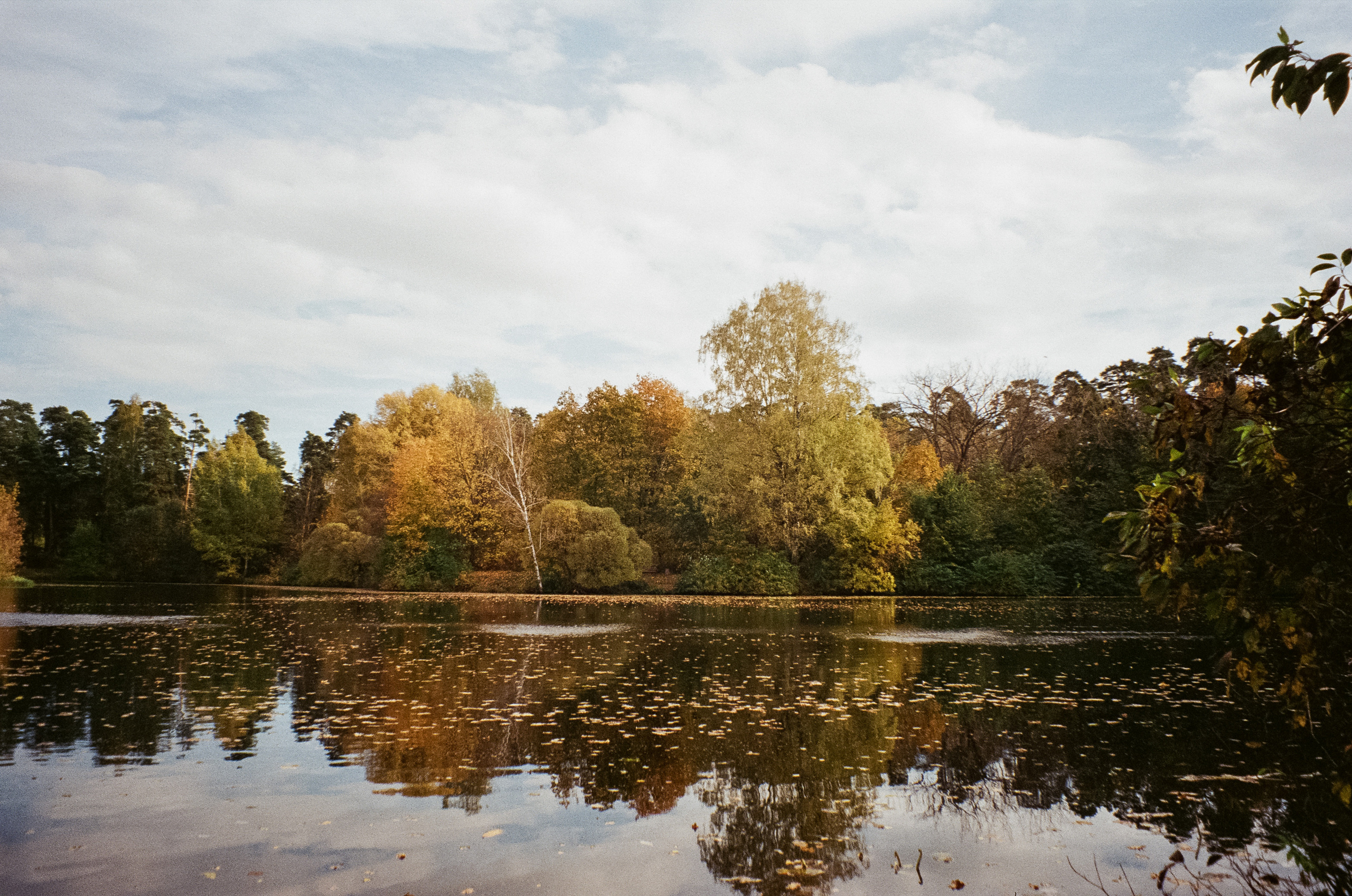 Осень на Kodak Gold 200