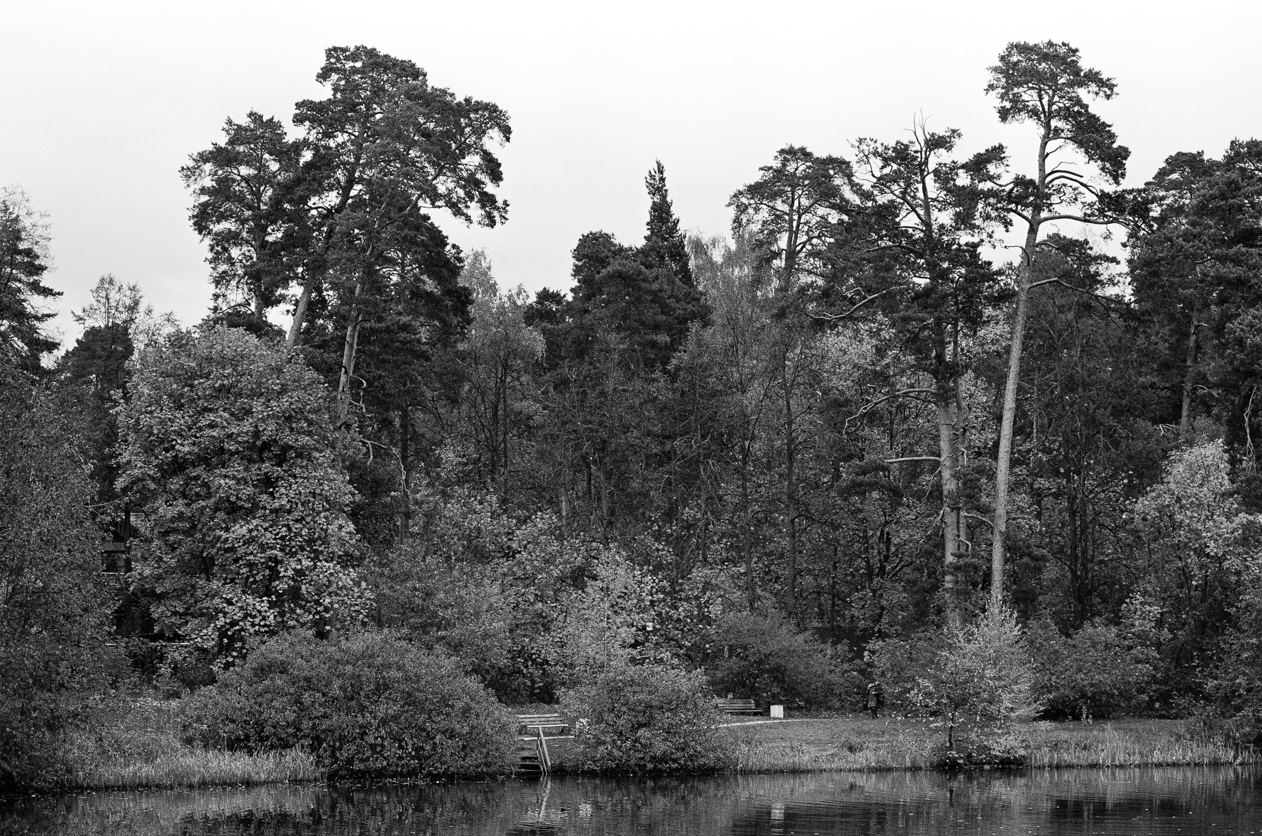 Minolta AF 85 mm f1.4 — Minolta Dynax 800si / Ilford HP5 Plus 400