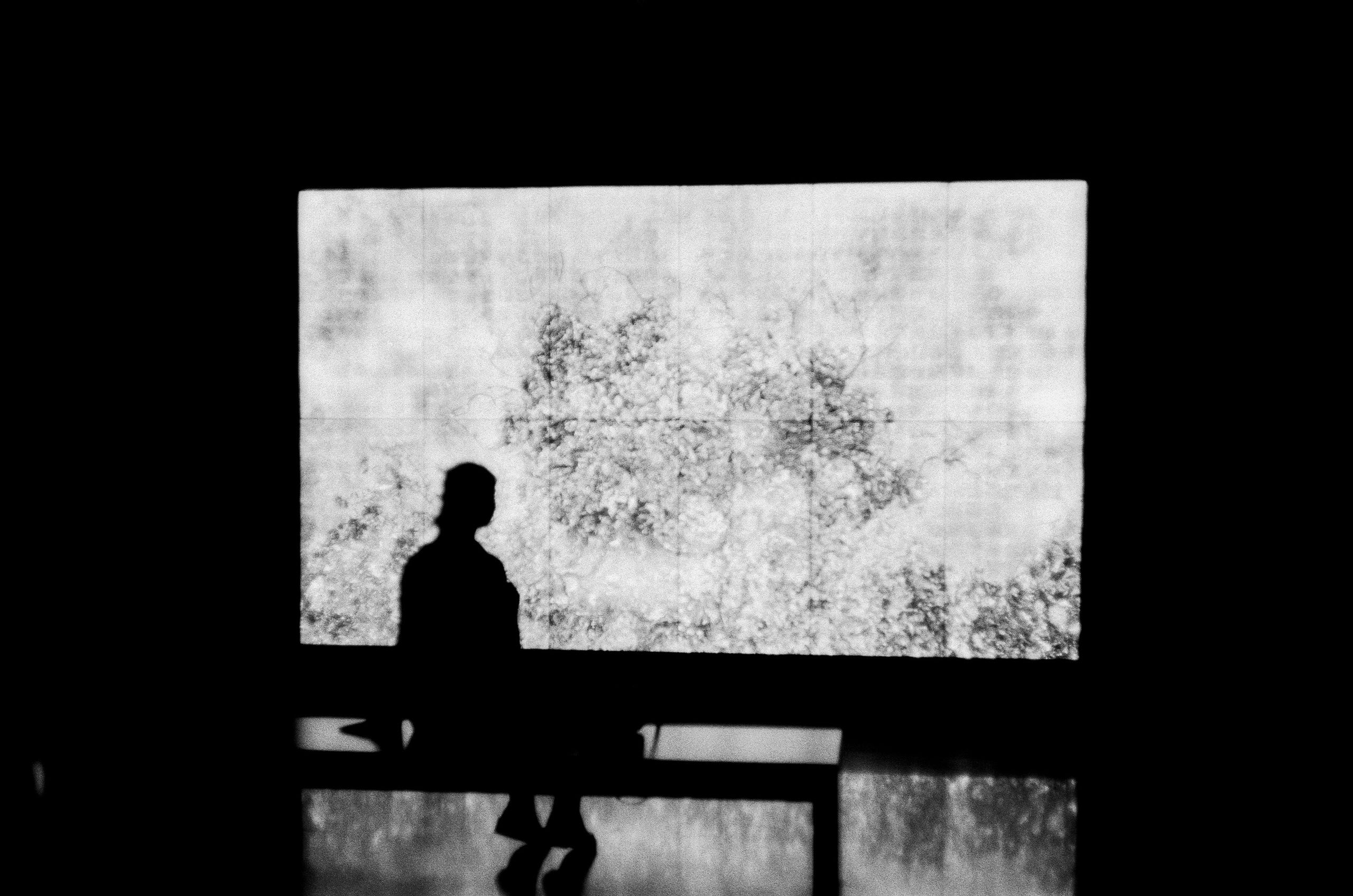 Мультимедиа Арт Музей на Canon Canonet QL17 G-III QL