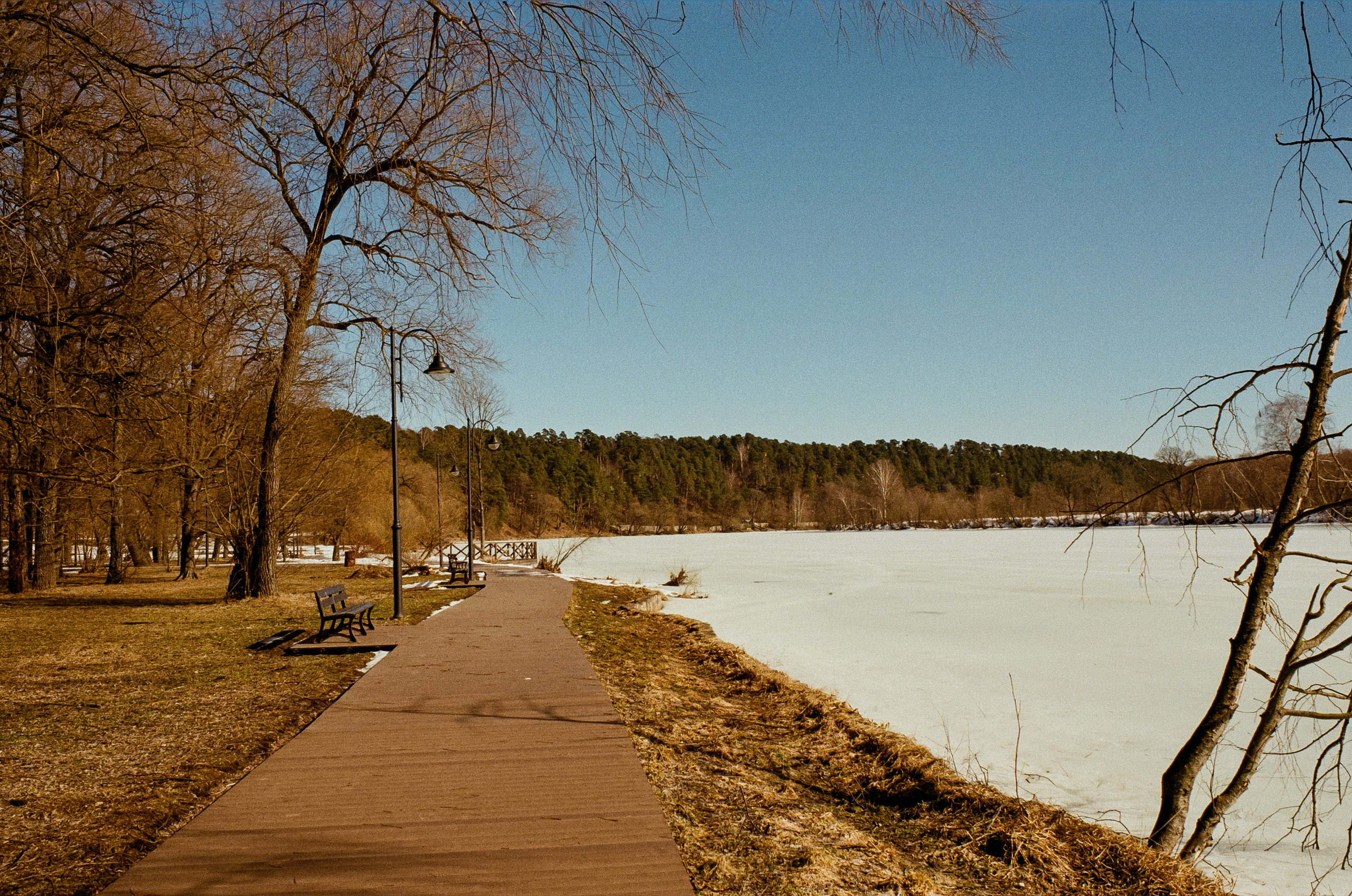 Kodak Ektar 100 / Contax N1