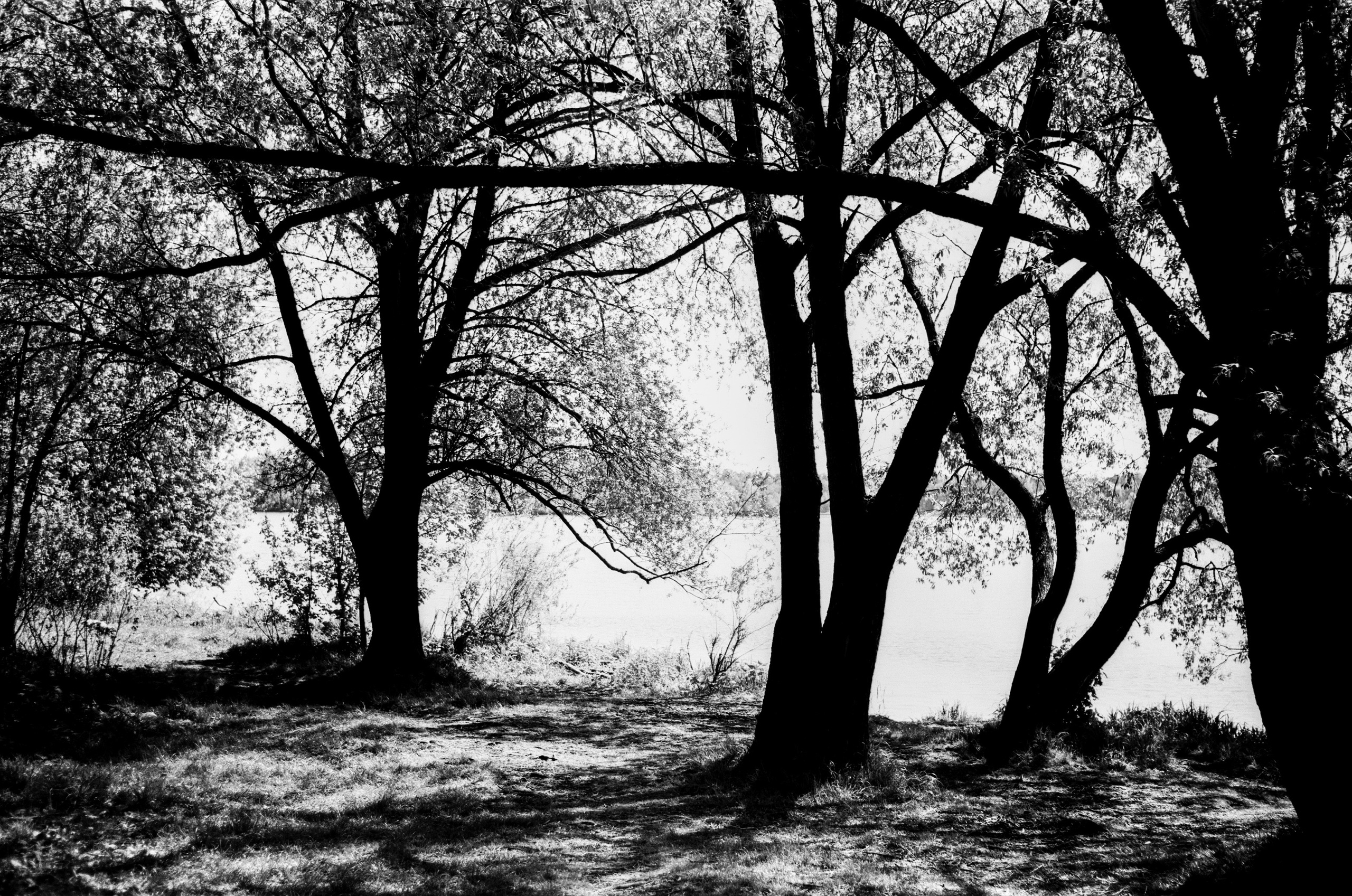 ADOX HR-50 пример фото