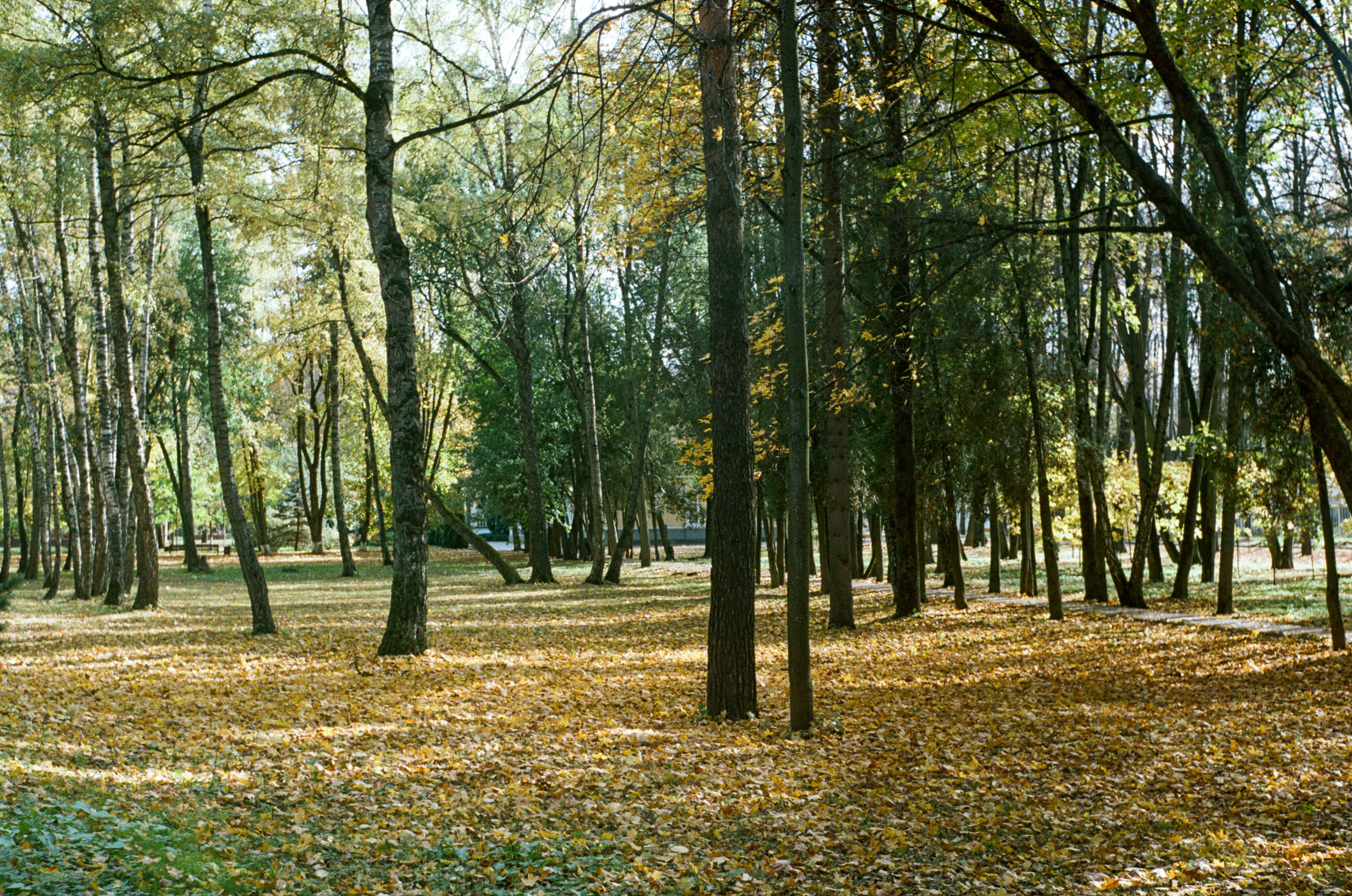 Enna Munchen Ennalyt 50mm f1.9 review