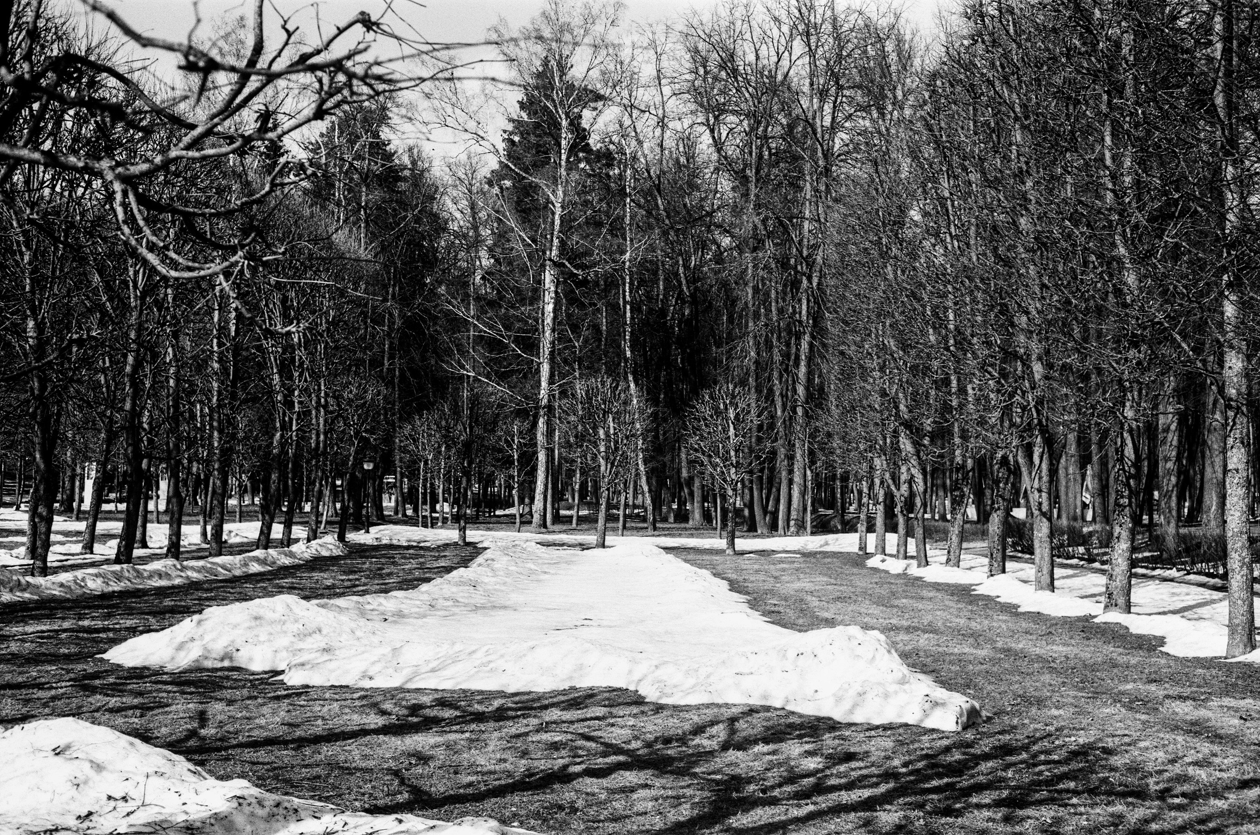 Minolta V2 / ТАСМА Тип-25