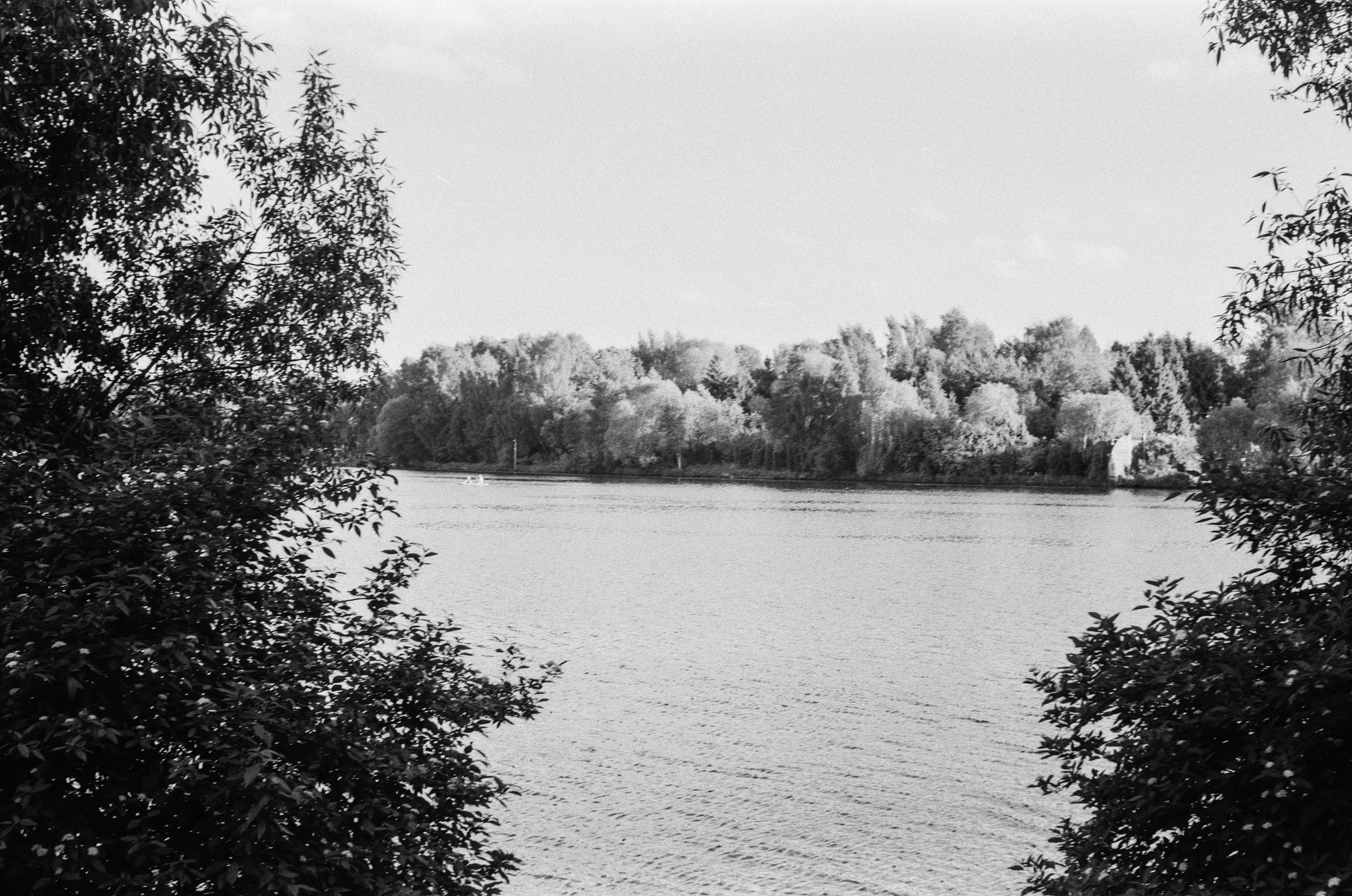 Schneider Xenon 50mm f2.0