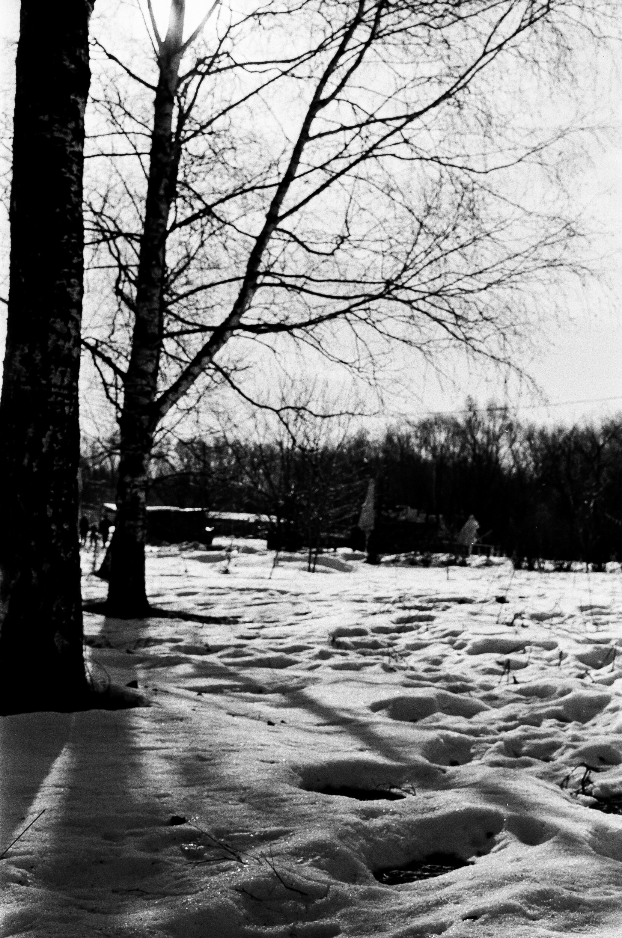 Retina Xenon C 50mm f2.0 примеры фотографий