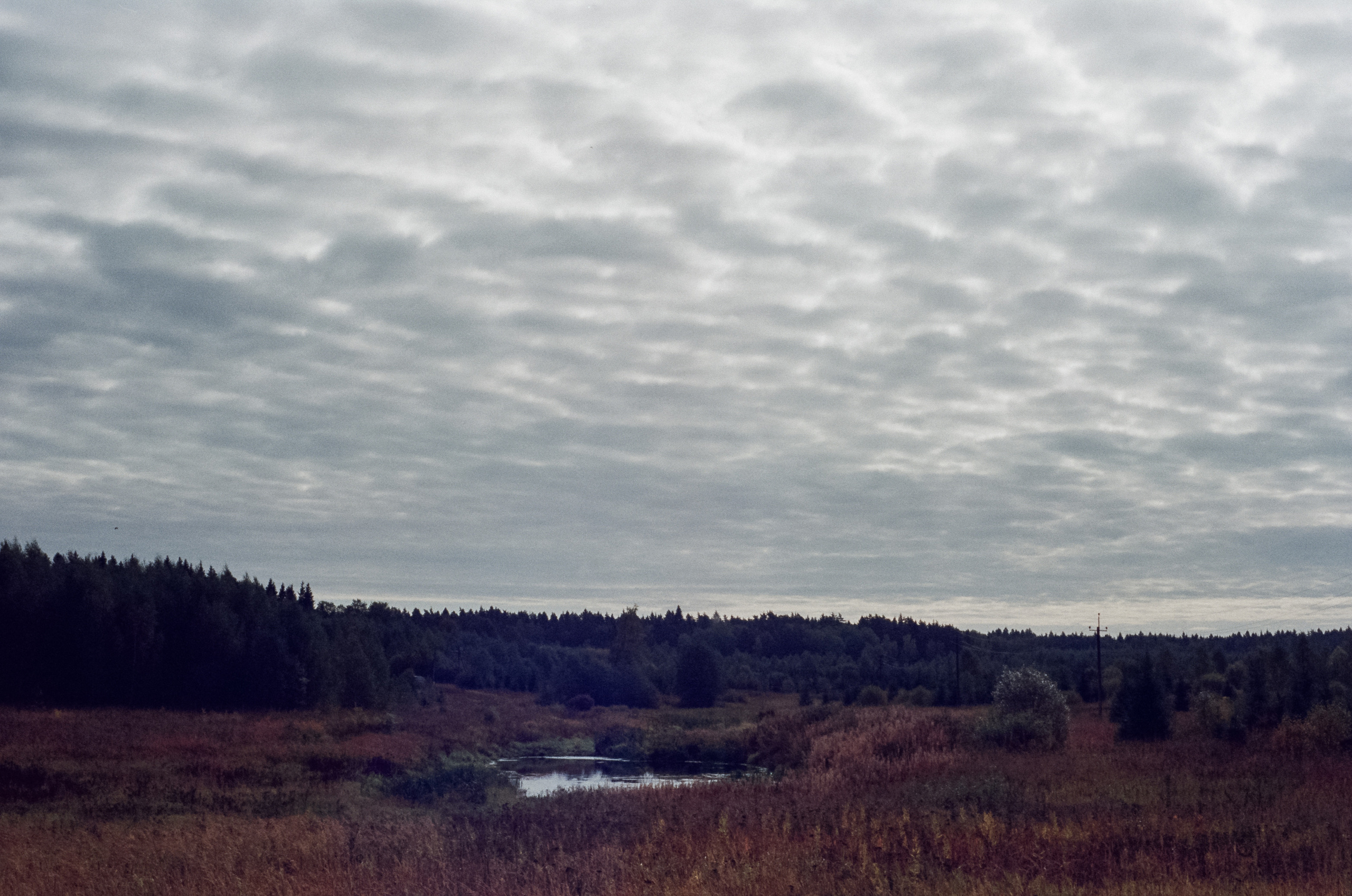 Kodak Retina IIIc — Retina Xenon C 50 mm f2.0 / Kodak Vision 3 250D