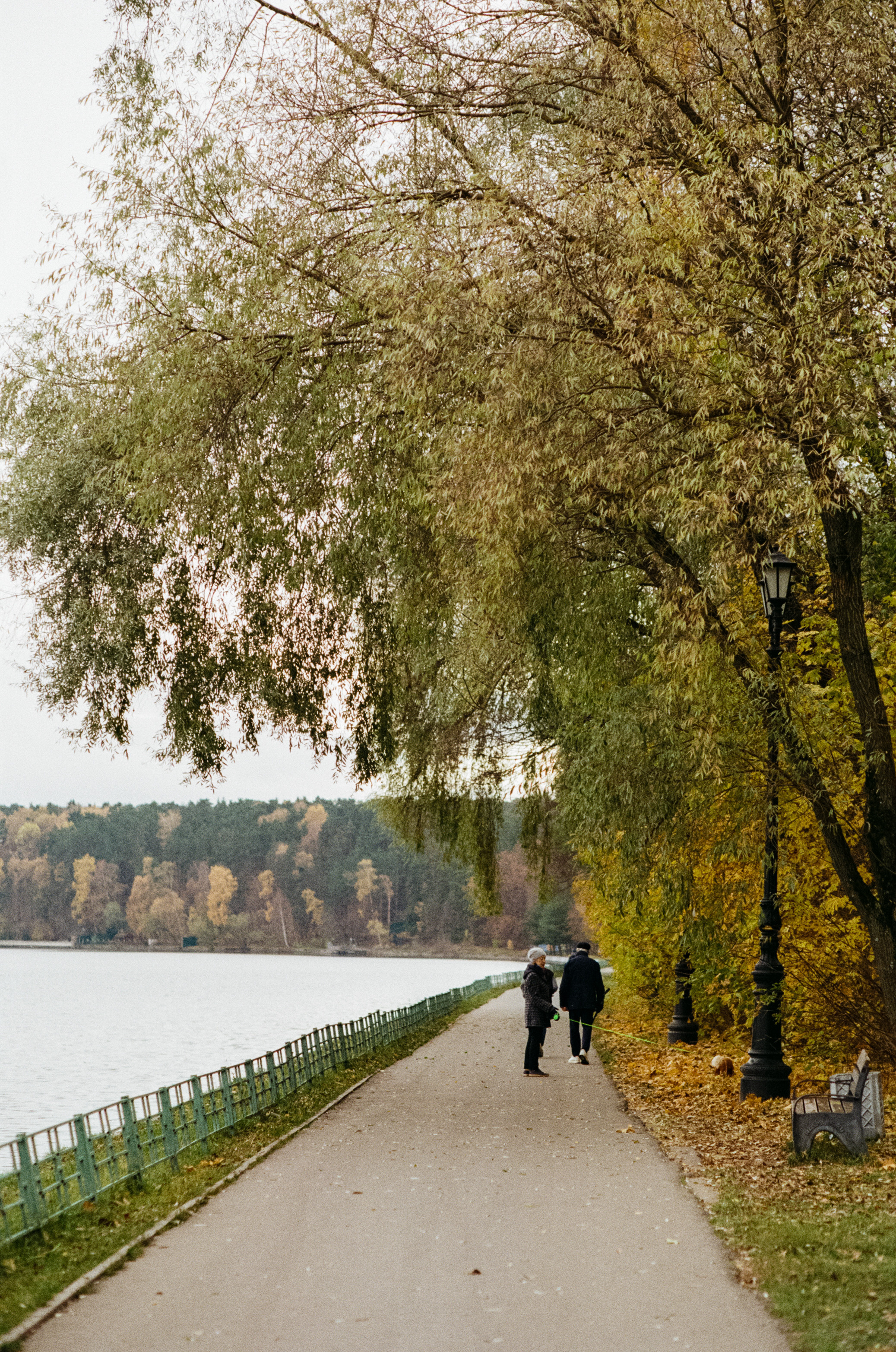 Московская осень на Kodak Gold 200