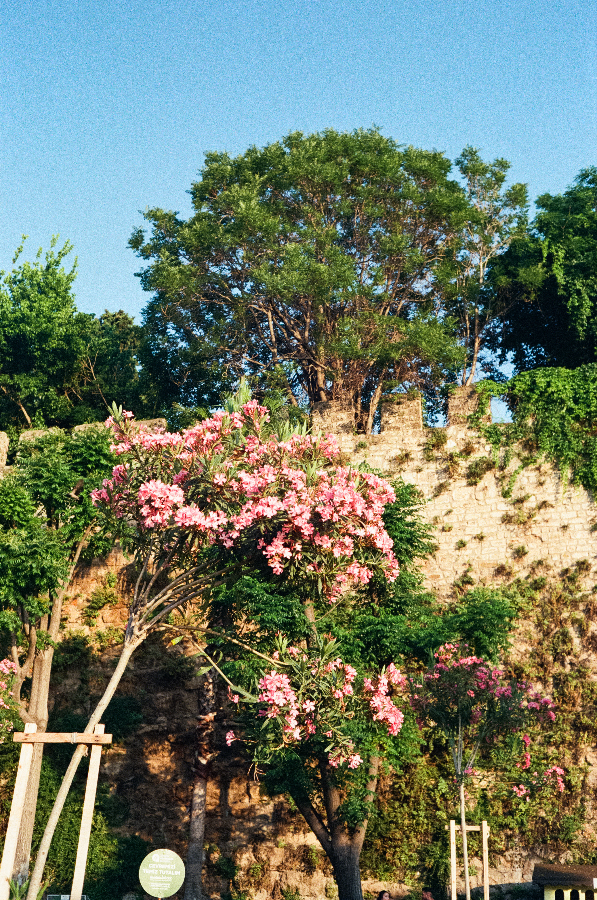 Анталья, Старый морской порт