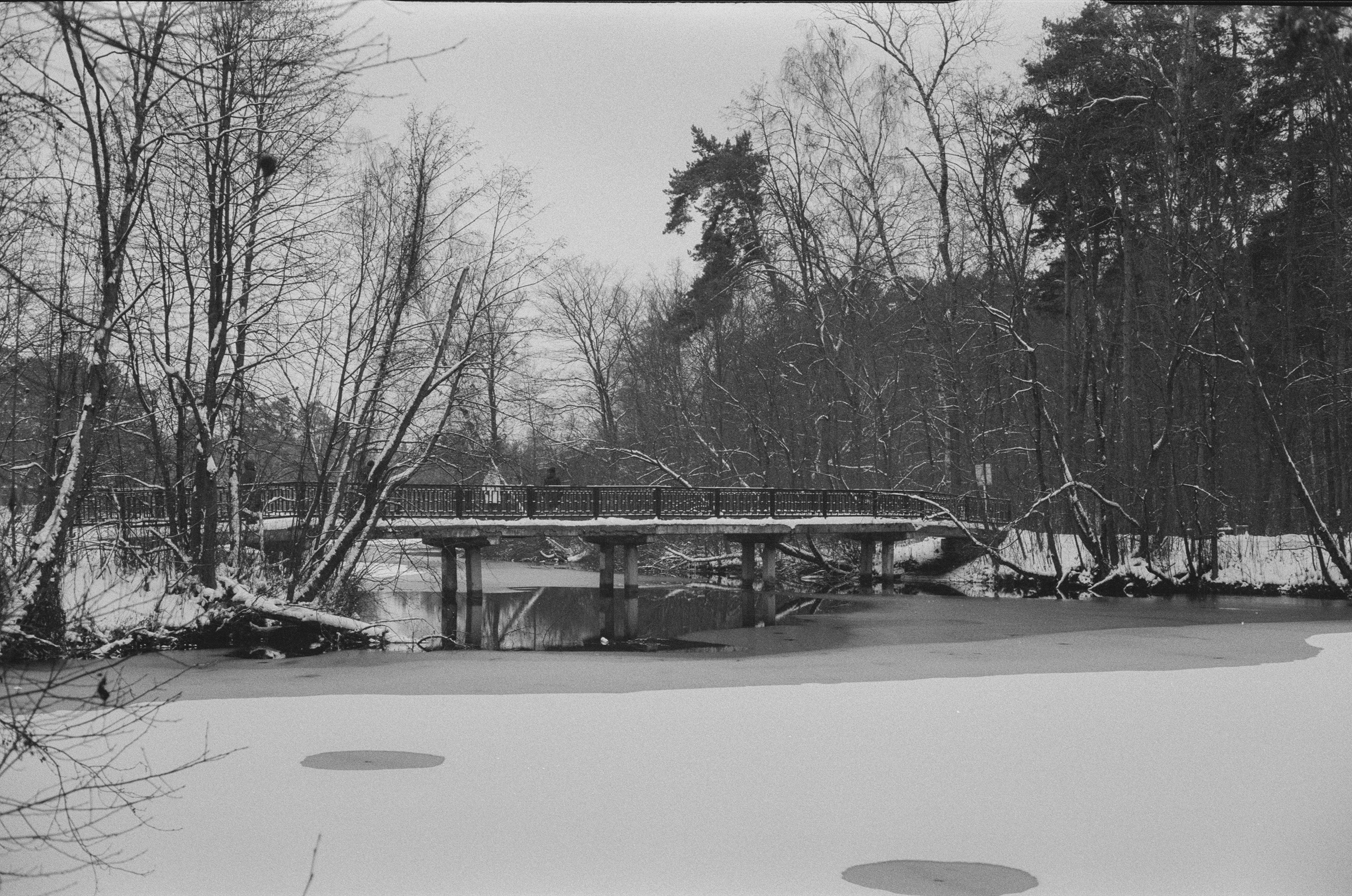 Konica III M / AgfaPhoto APX 400