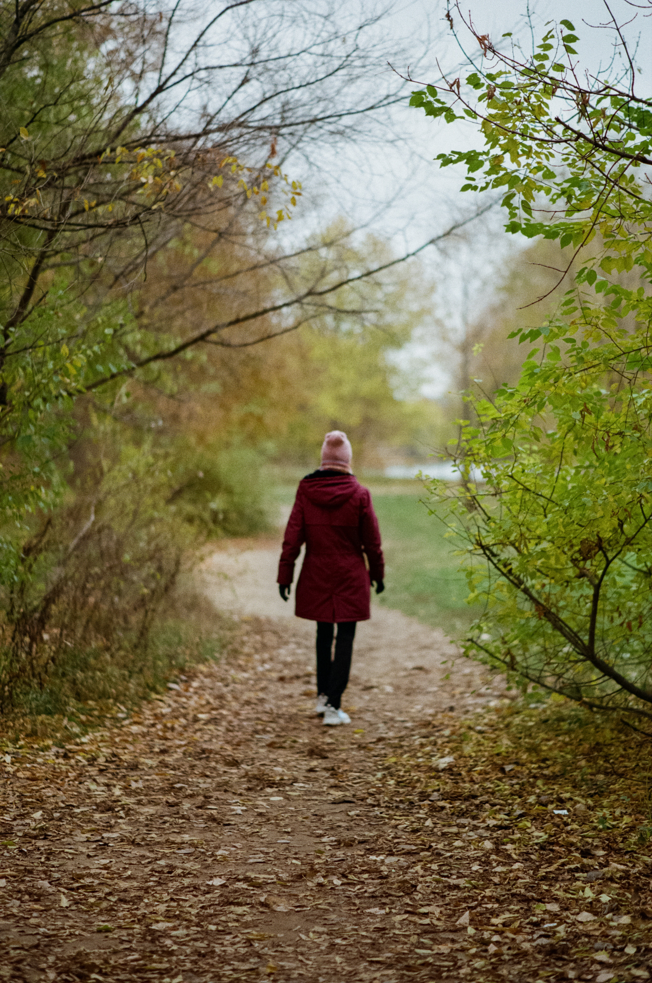 Московская осень на Kodak Gold 200