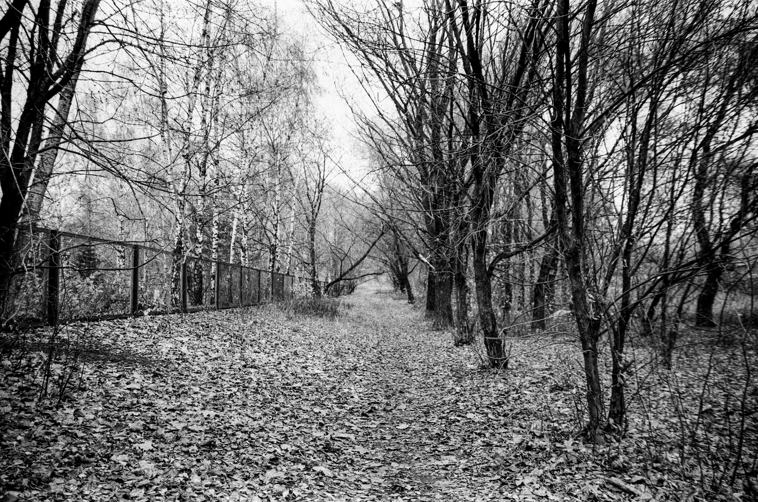 Nikon F80 — Voigtlander Ultron 28-105mm f2.8-3.8 / SFL T-42 ISO 400